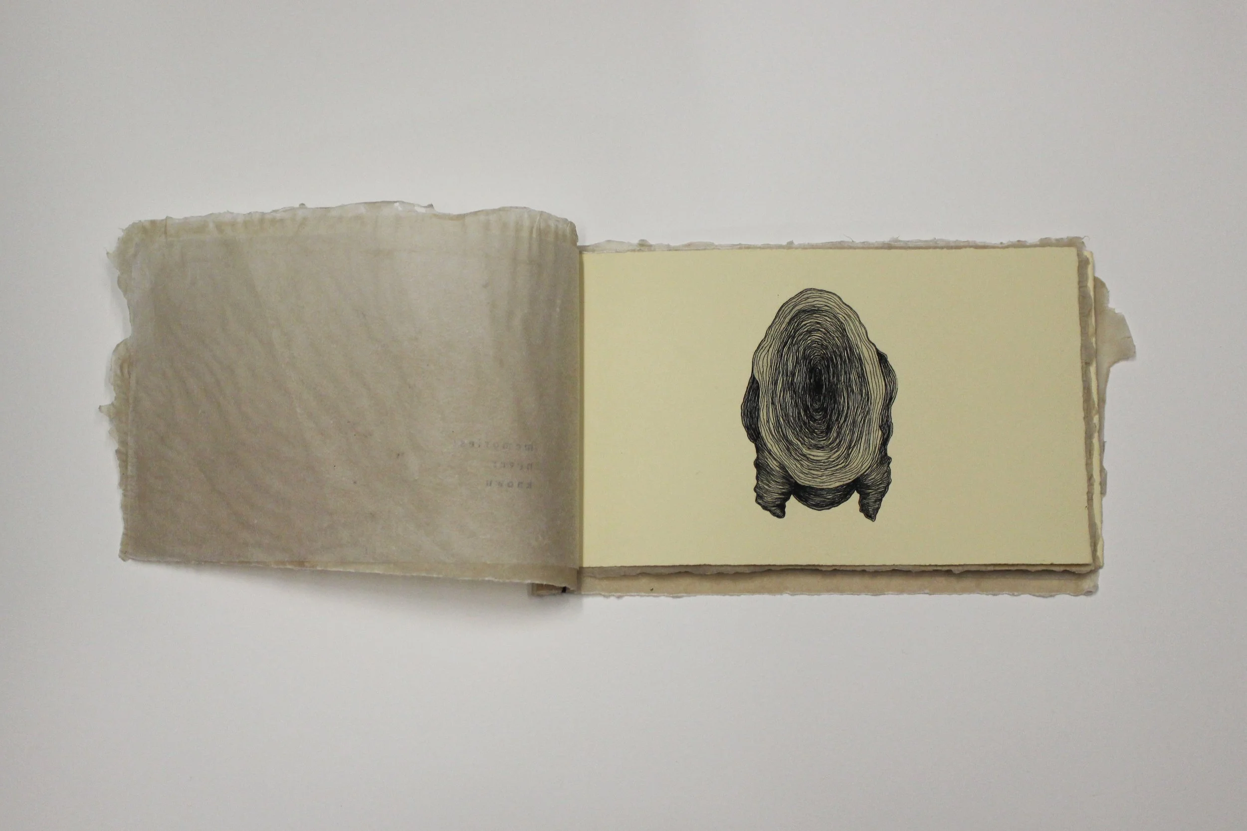 memories never known