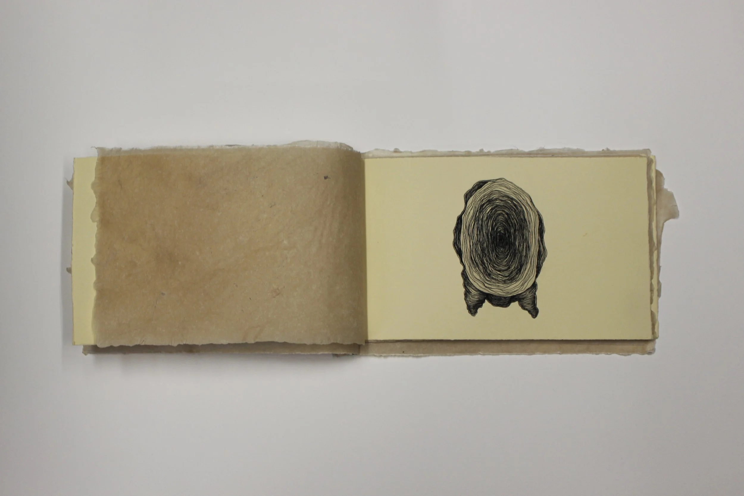 memories never known