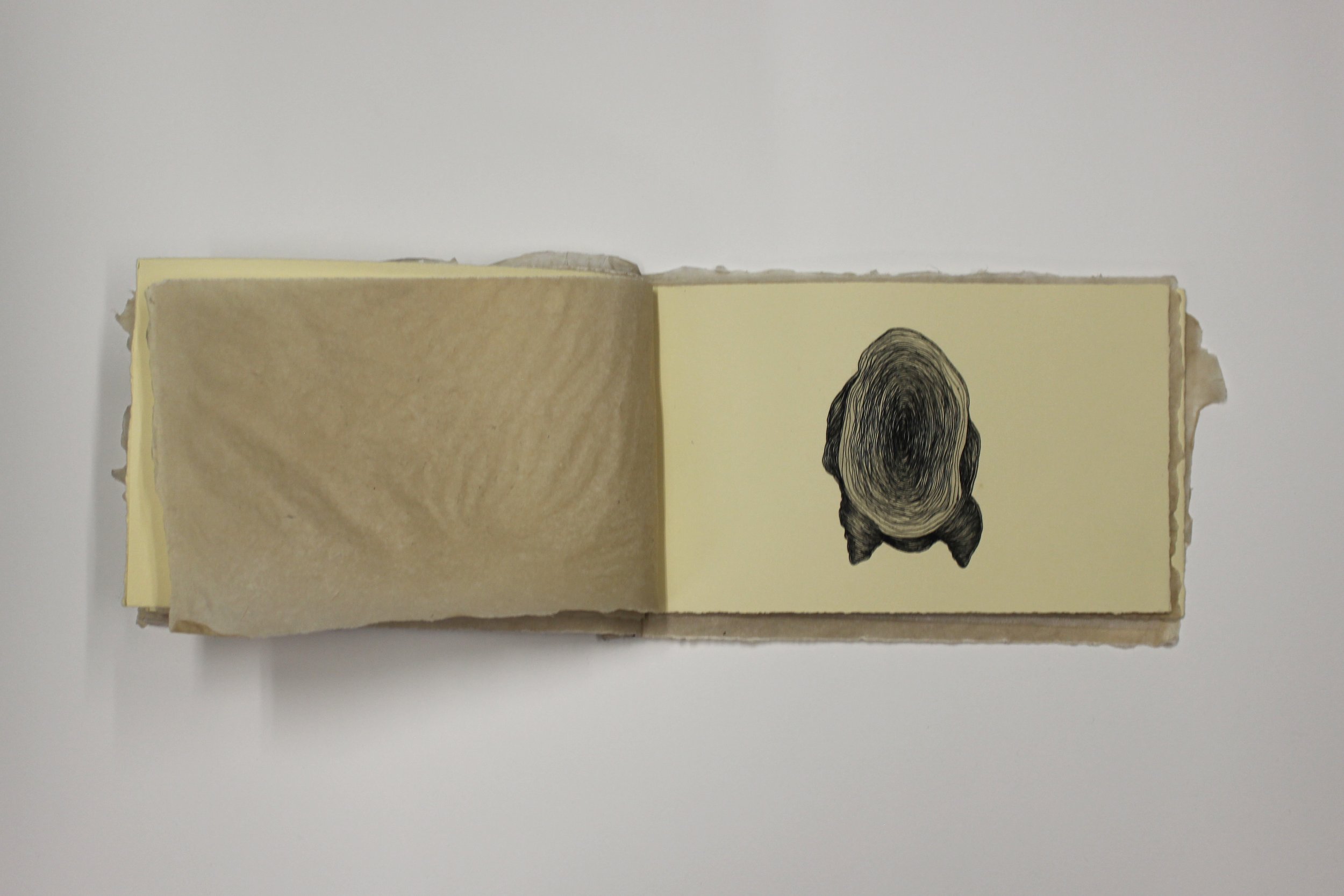 memories never known