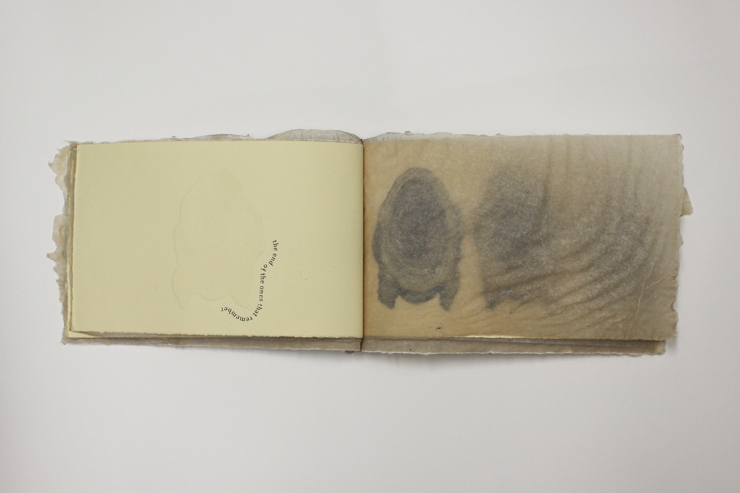 memories never known