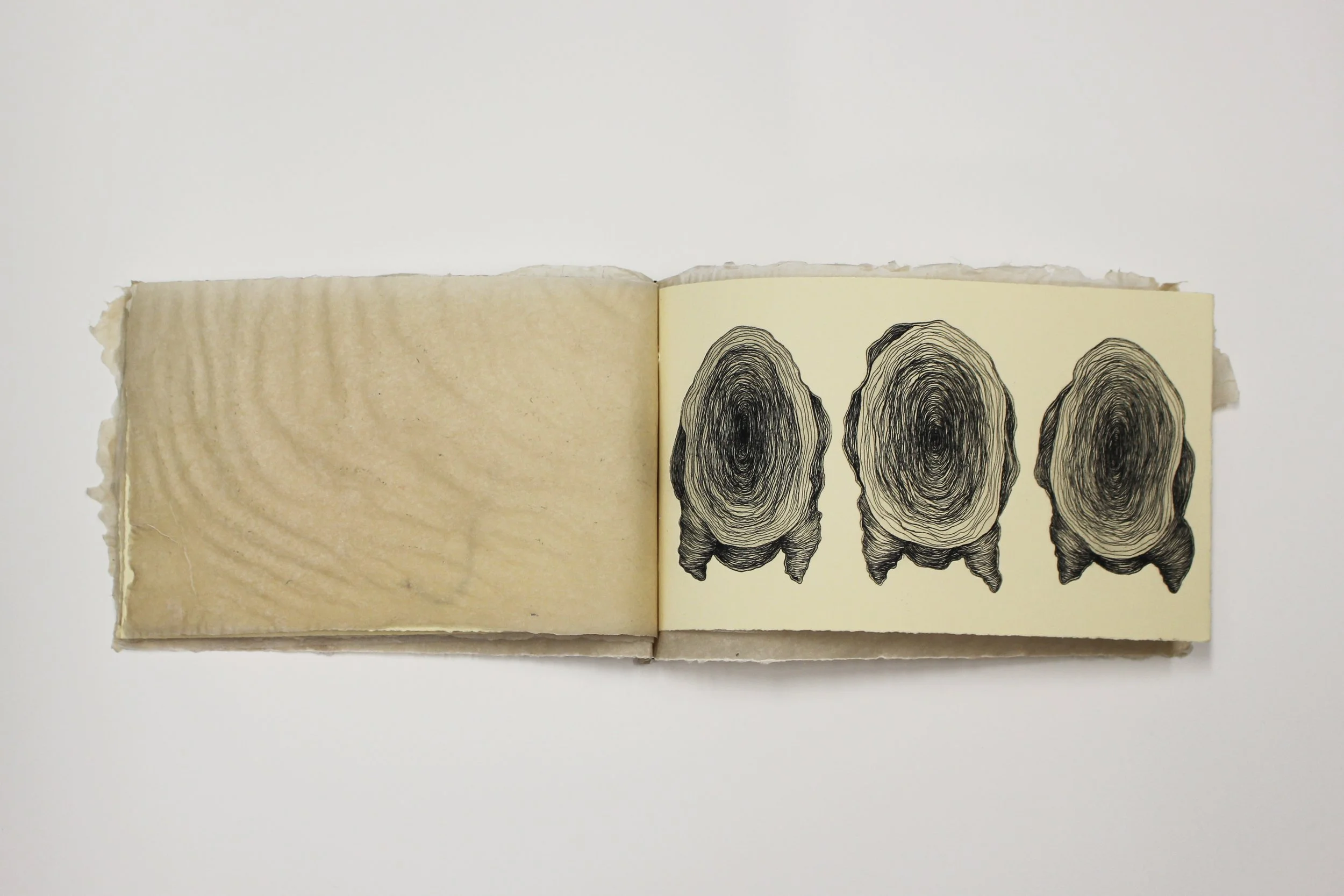 memories never known