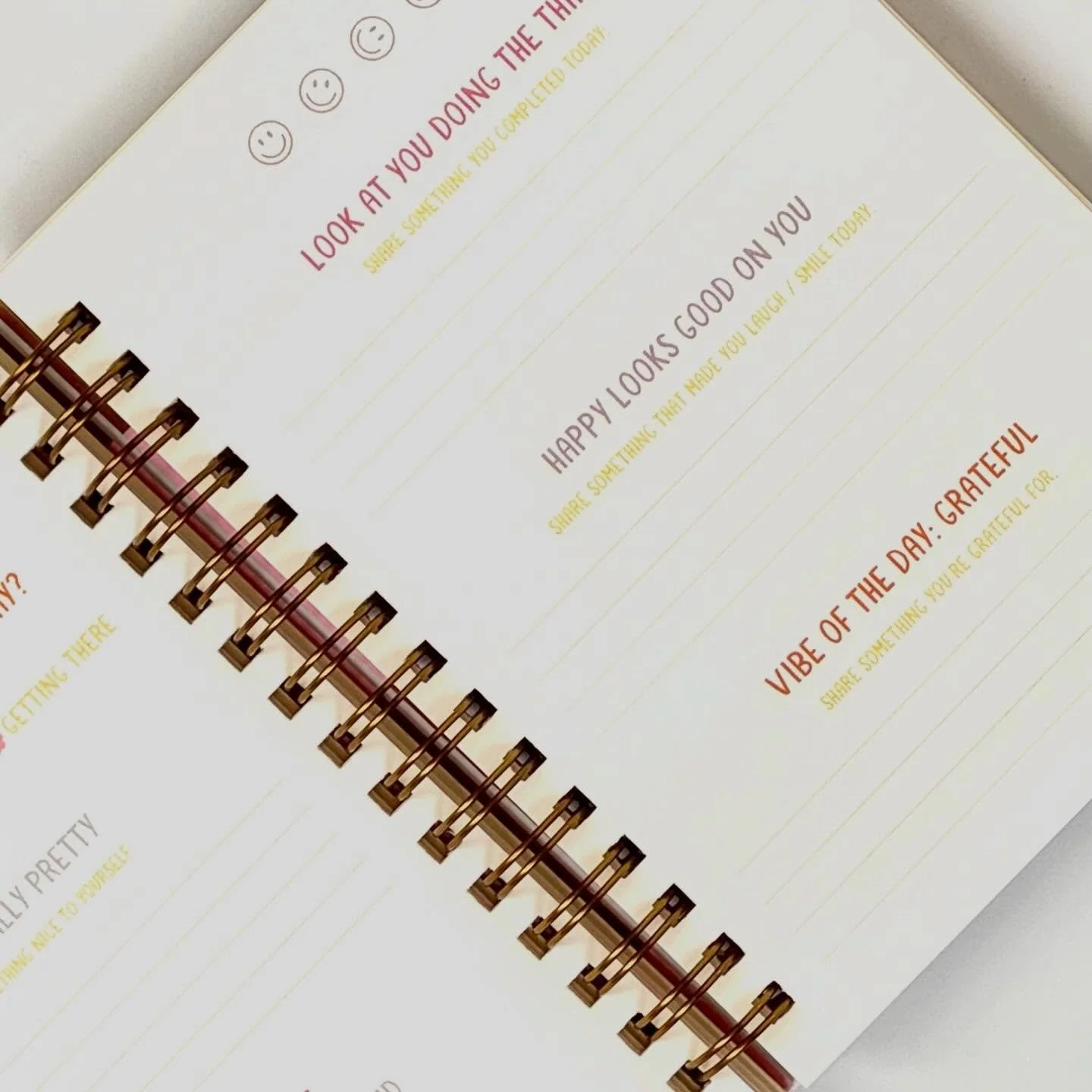 We&rsquo;re fans of journaling. It helps us feel positive and motivated. 

So we&rsquo;re introducing The Mini Gratitude Journal, with daily prompts to make it easier to check in with your feelings and build a positive mindset. And thanks to its conv