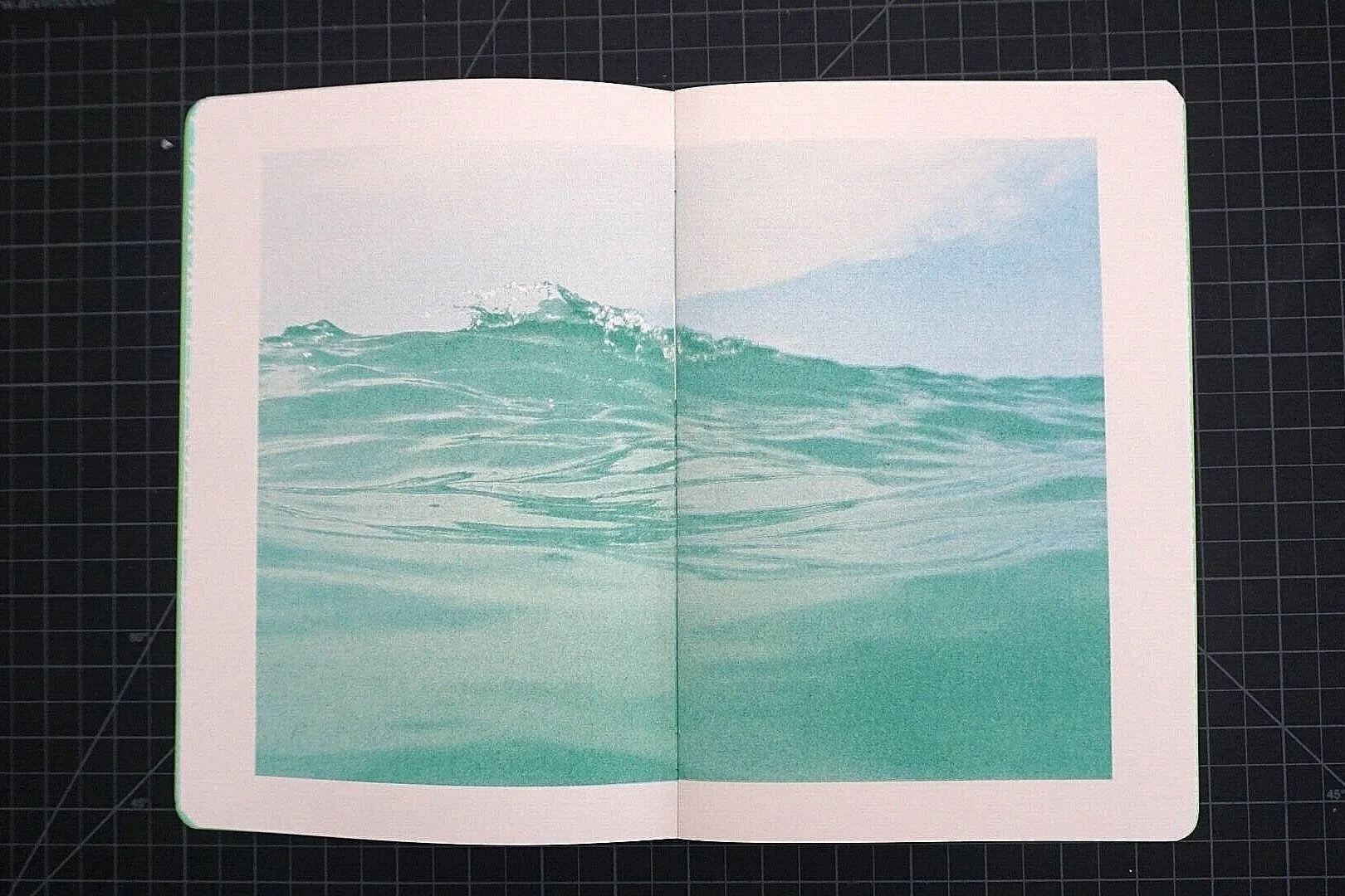 DSC03561.jpg