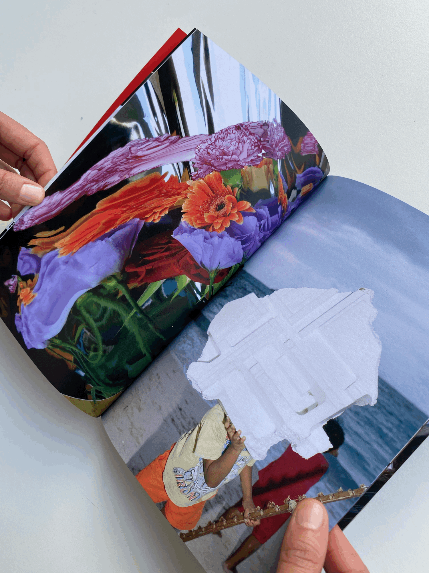 tempImagekH3jDN (2).gif