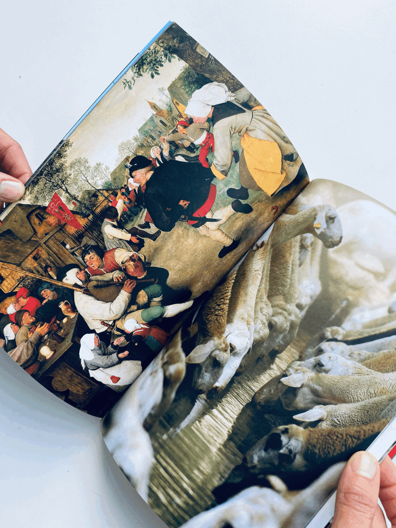 tempImageauFIZG (1).gif