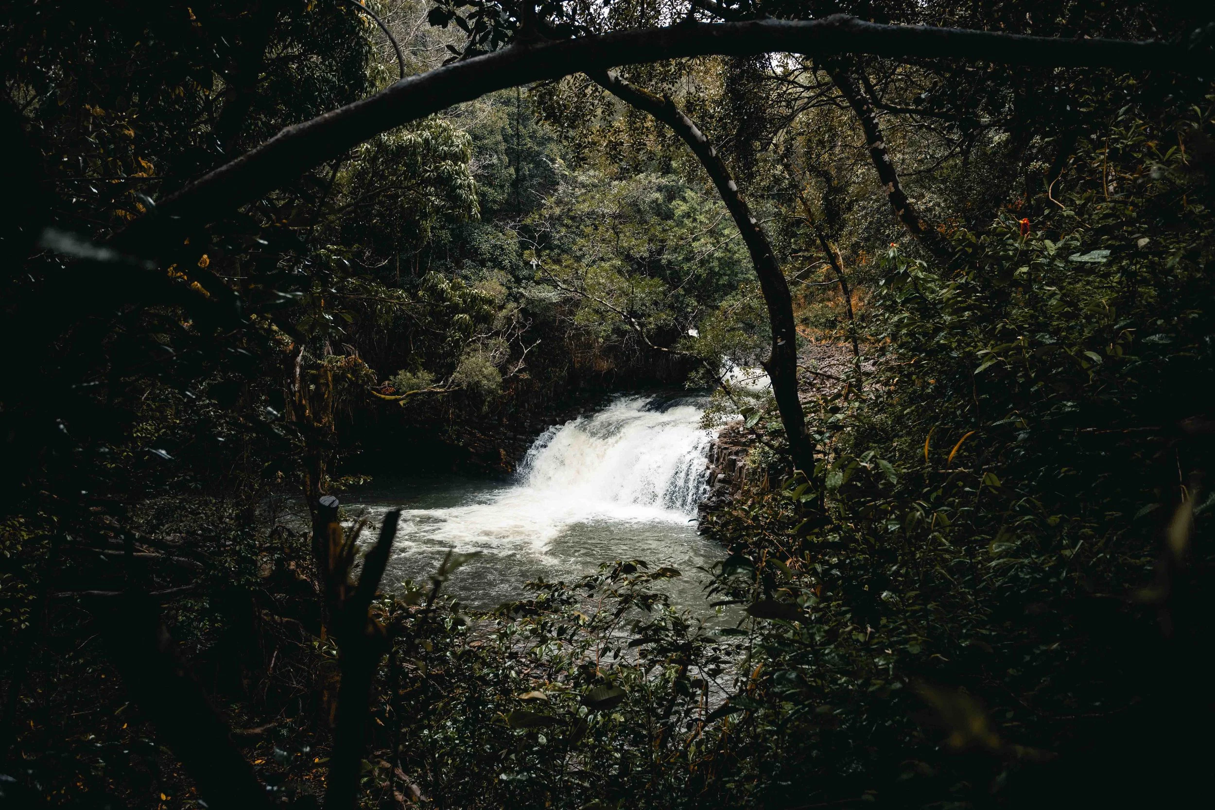 twin-falls.jpg