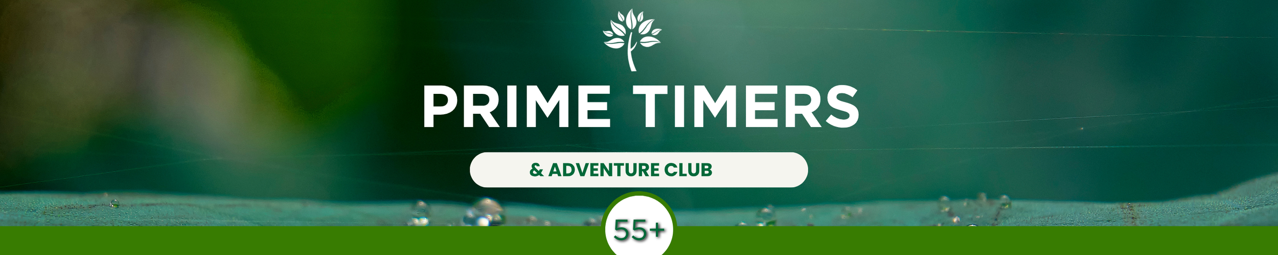 Green and White Church Website Page Headers (20 x 8 in) (30 x 6 in) (3).png