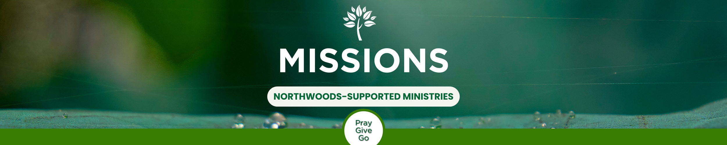 Northwoods Kidz Banner (2).png