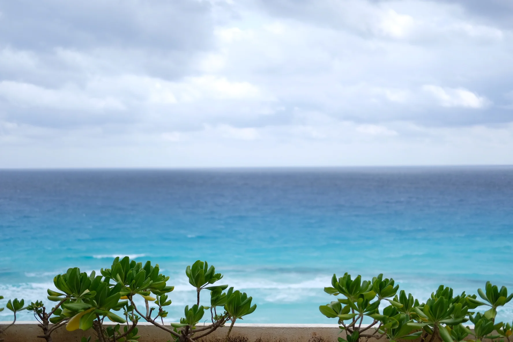 The Paradisus Cancun Experience!