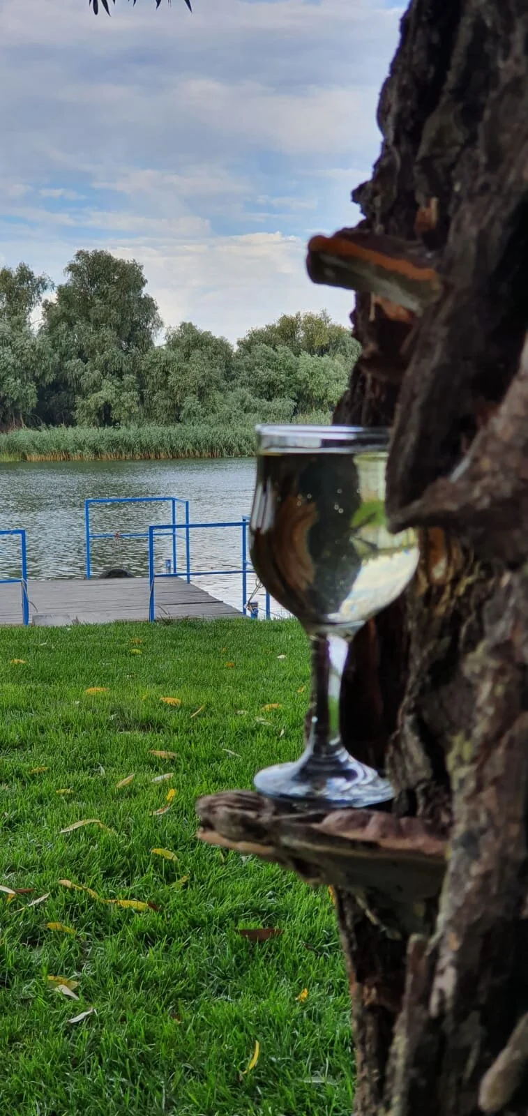 WhatsApp Image 2020-08-23 at 17.16.35.jpeg