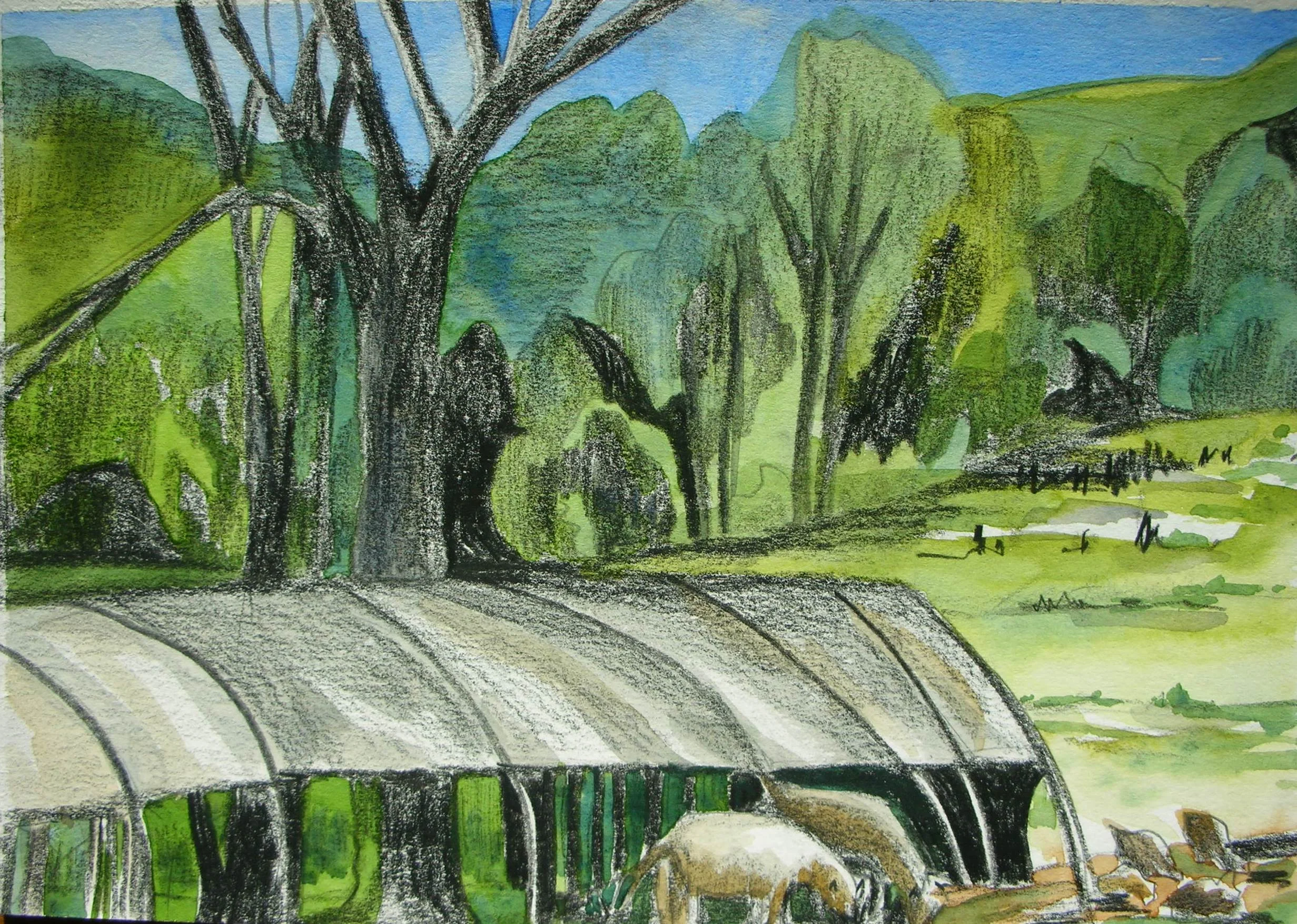 field&sheep-everdale.JPG