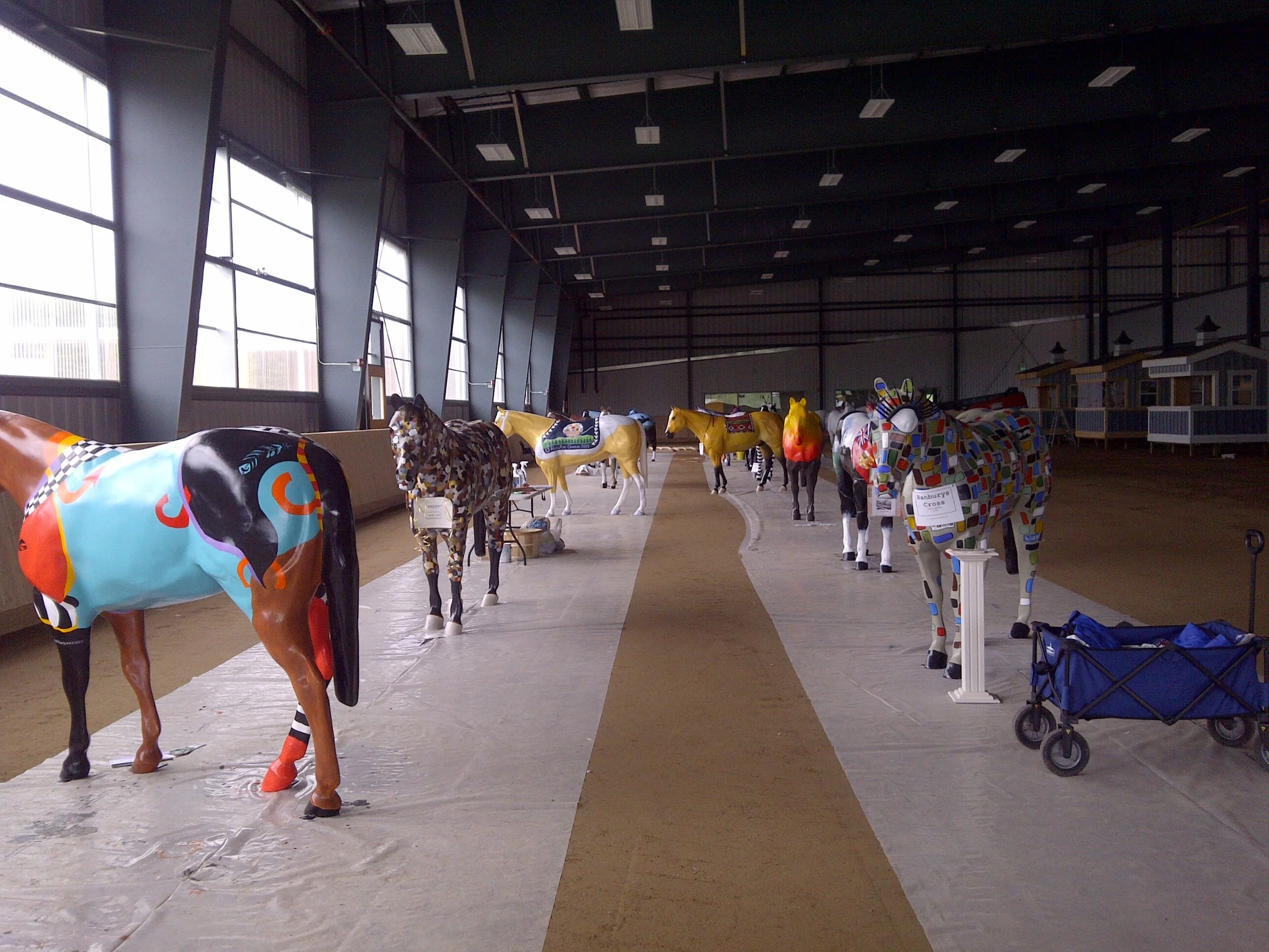IMG-20150519-01343.jpg