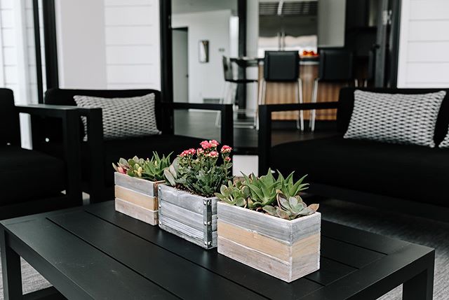 The best accessories come from Mother Nature. Succulents are a great way to bring life into your space and are super easy to maintain! 
Design by: @chantalmartindesign  Photo by: @sjbridgeman .
.
.
.
.
#succulents #popofgreen #bayareadesign #chantalm