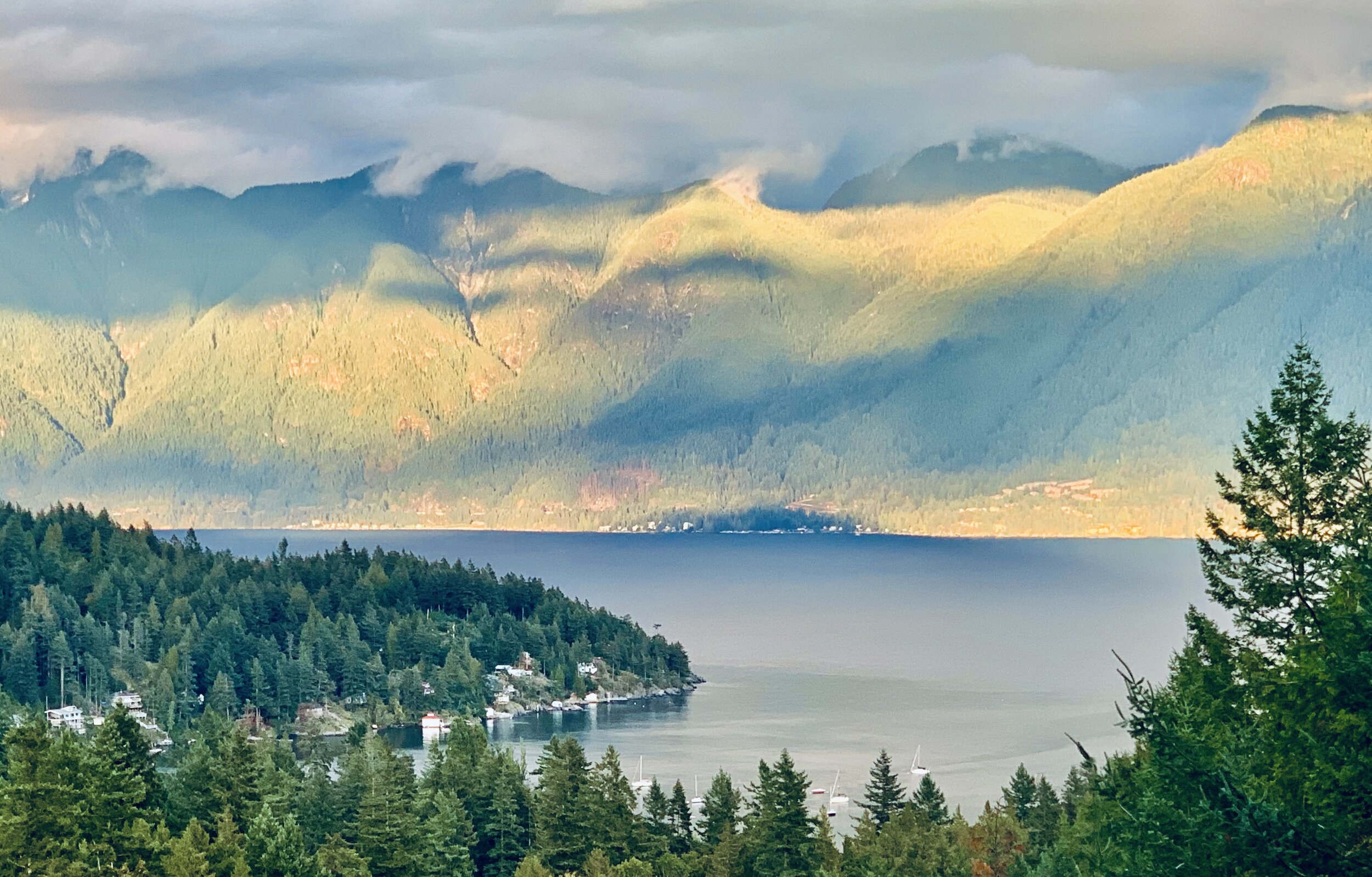 With the patience of Cov'id