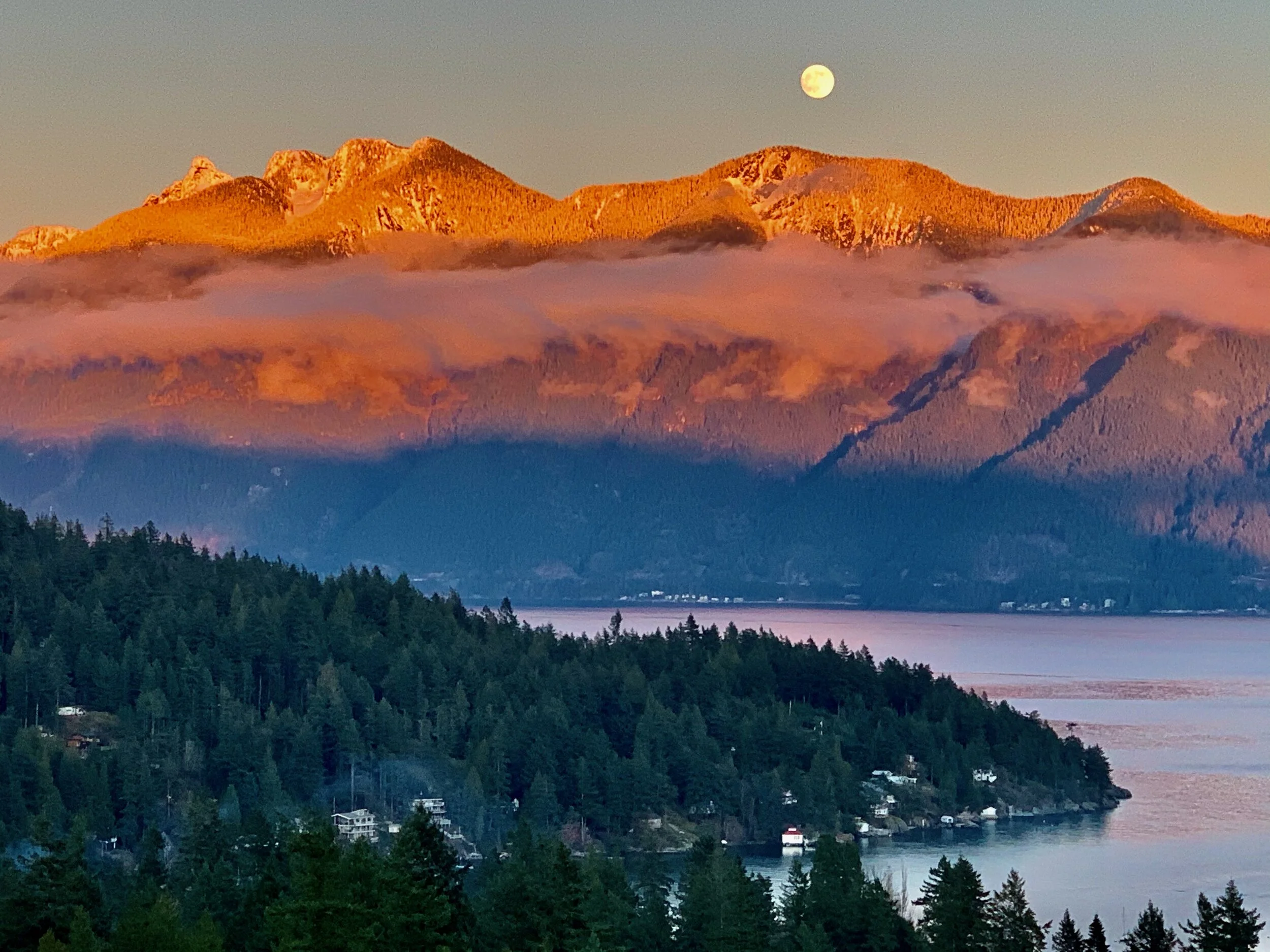 As the world turns, chapter MMXXI 