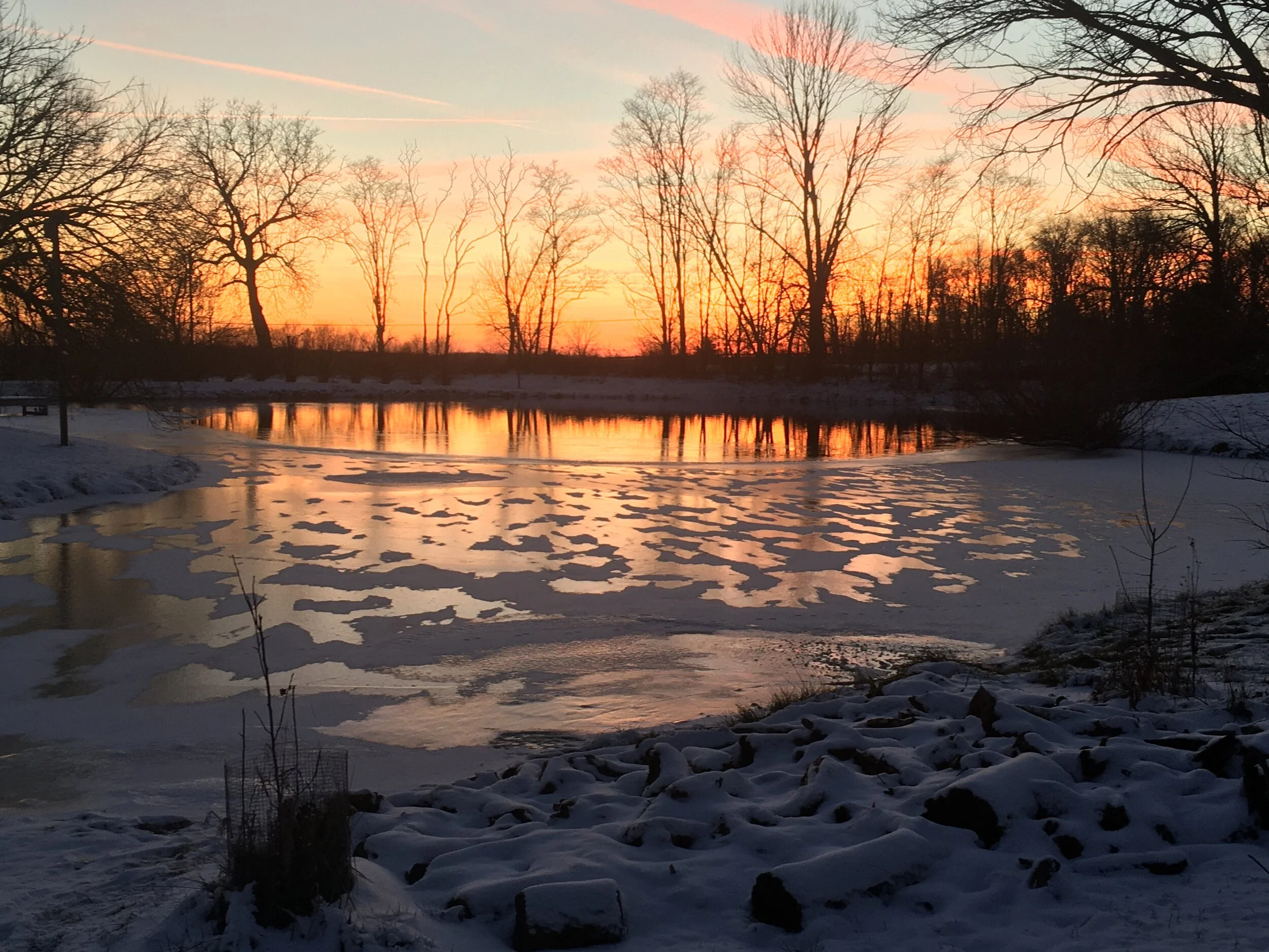 What is Permaculture?