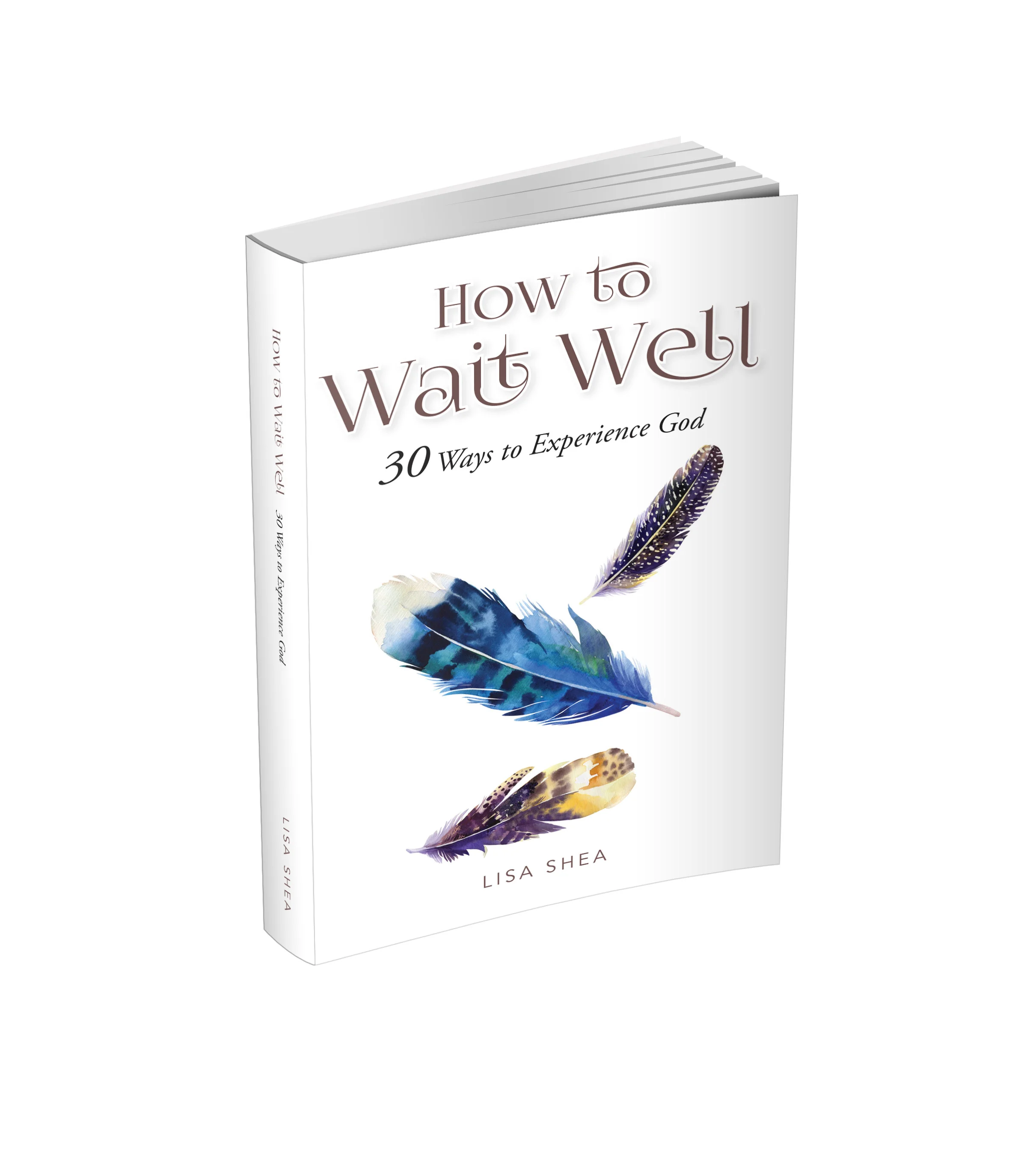How to Wait Well: 30 Ways to Experience God by Lisa Shea