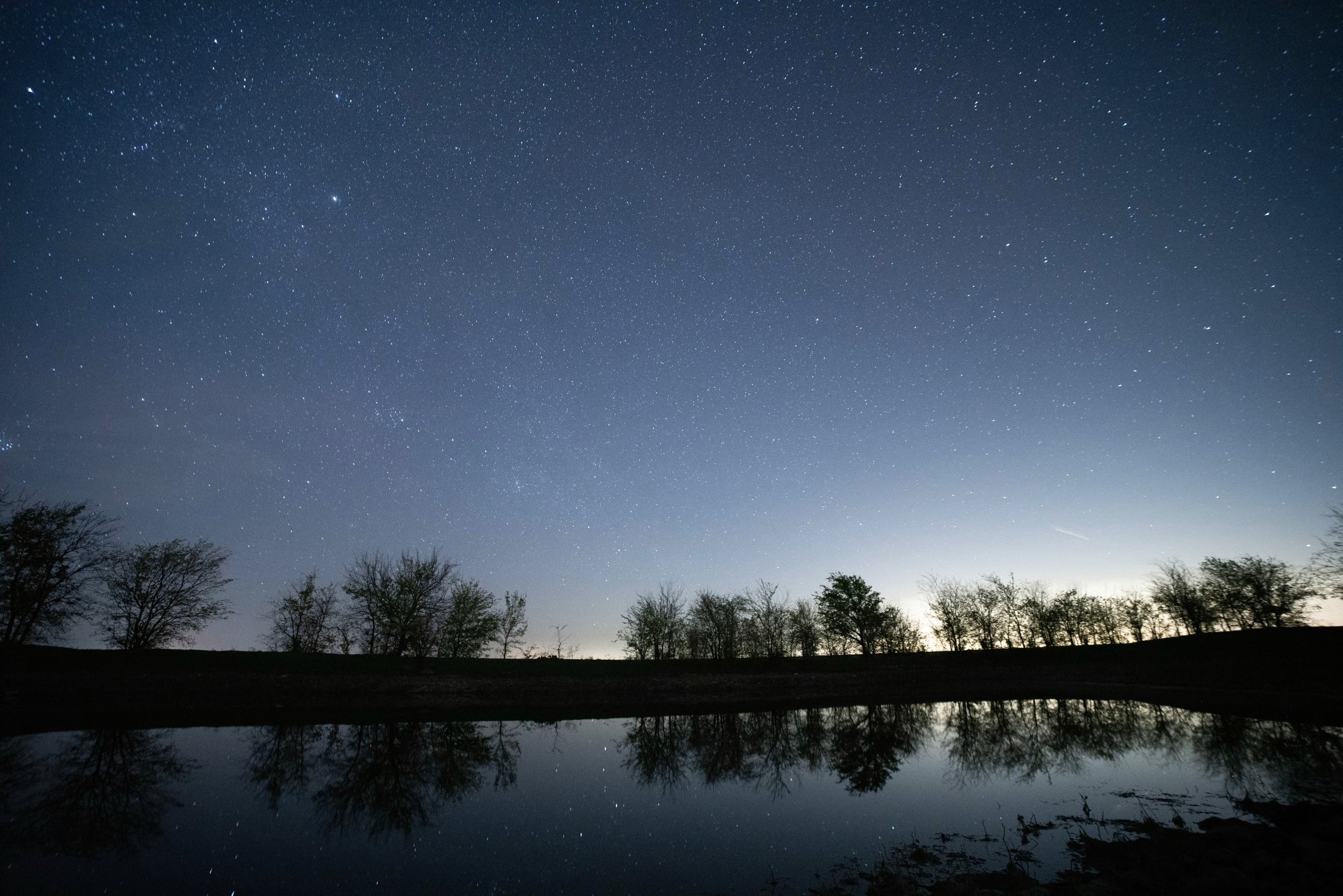 Starry night sky with silhouettes of trees reflected in a calm body of water.