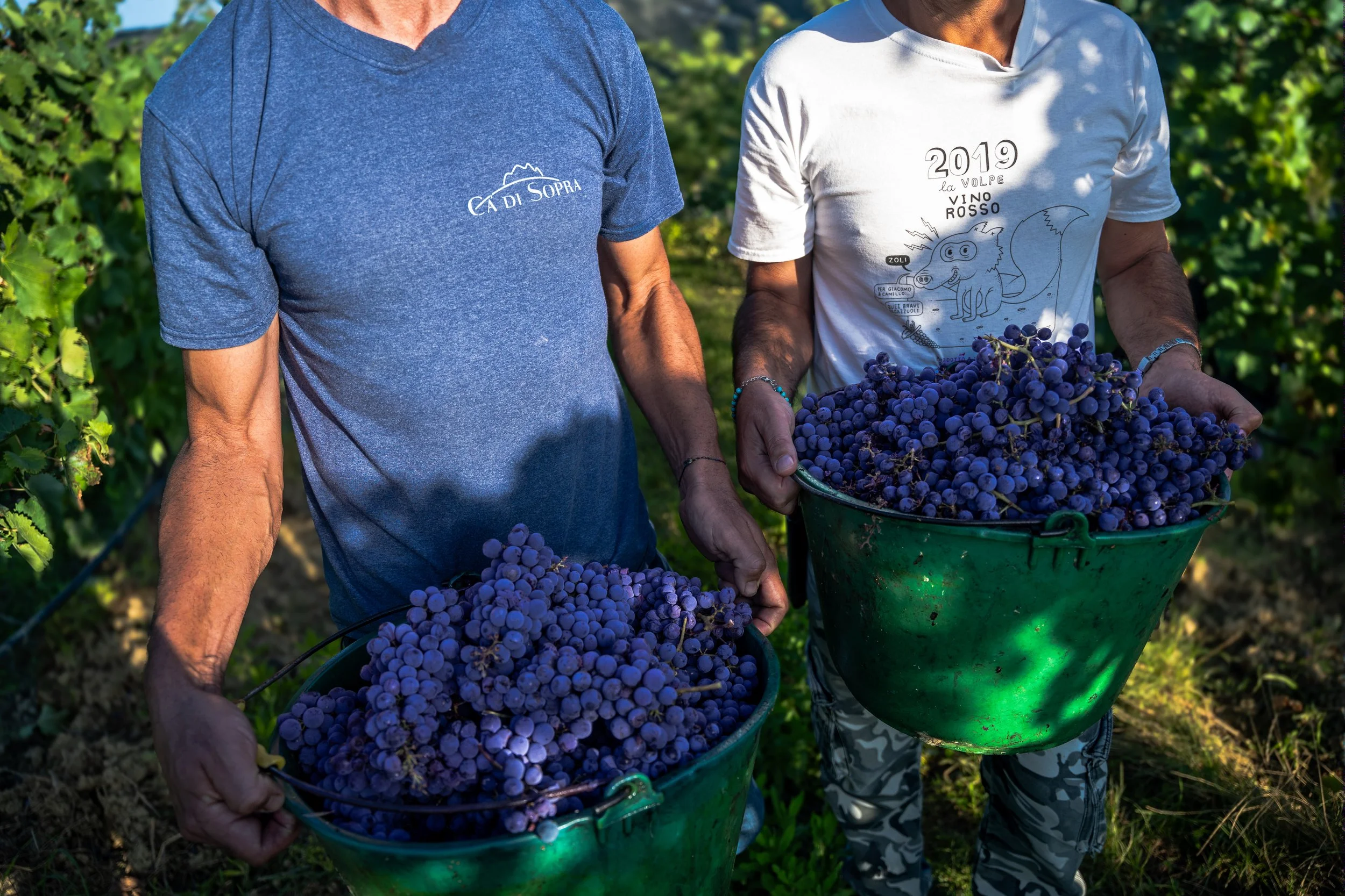 Ca' di Sopra 2024-23.jpg