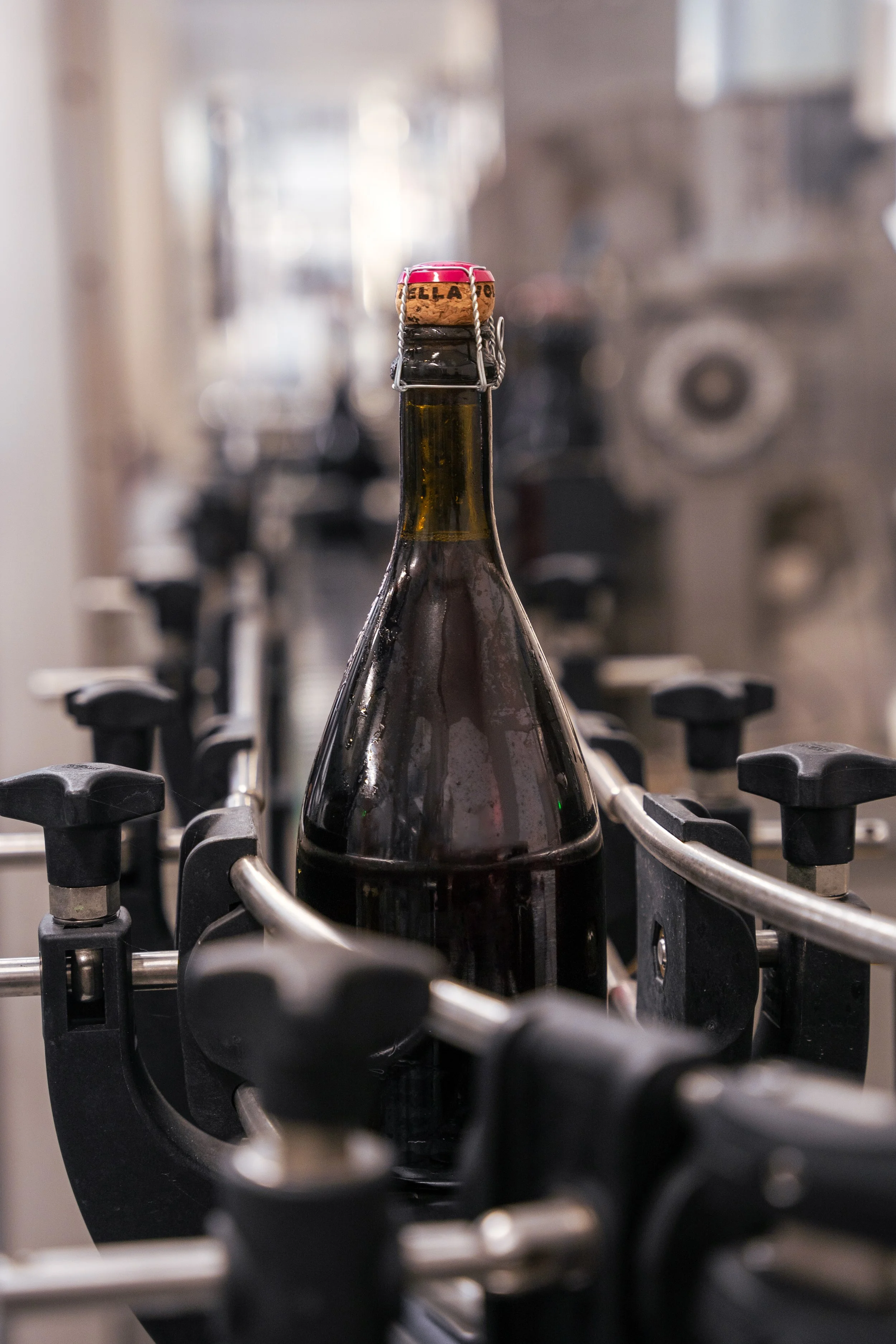 Cantina della Volta 2024-1.jpg