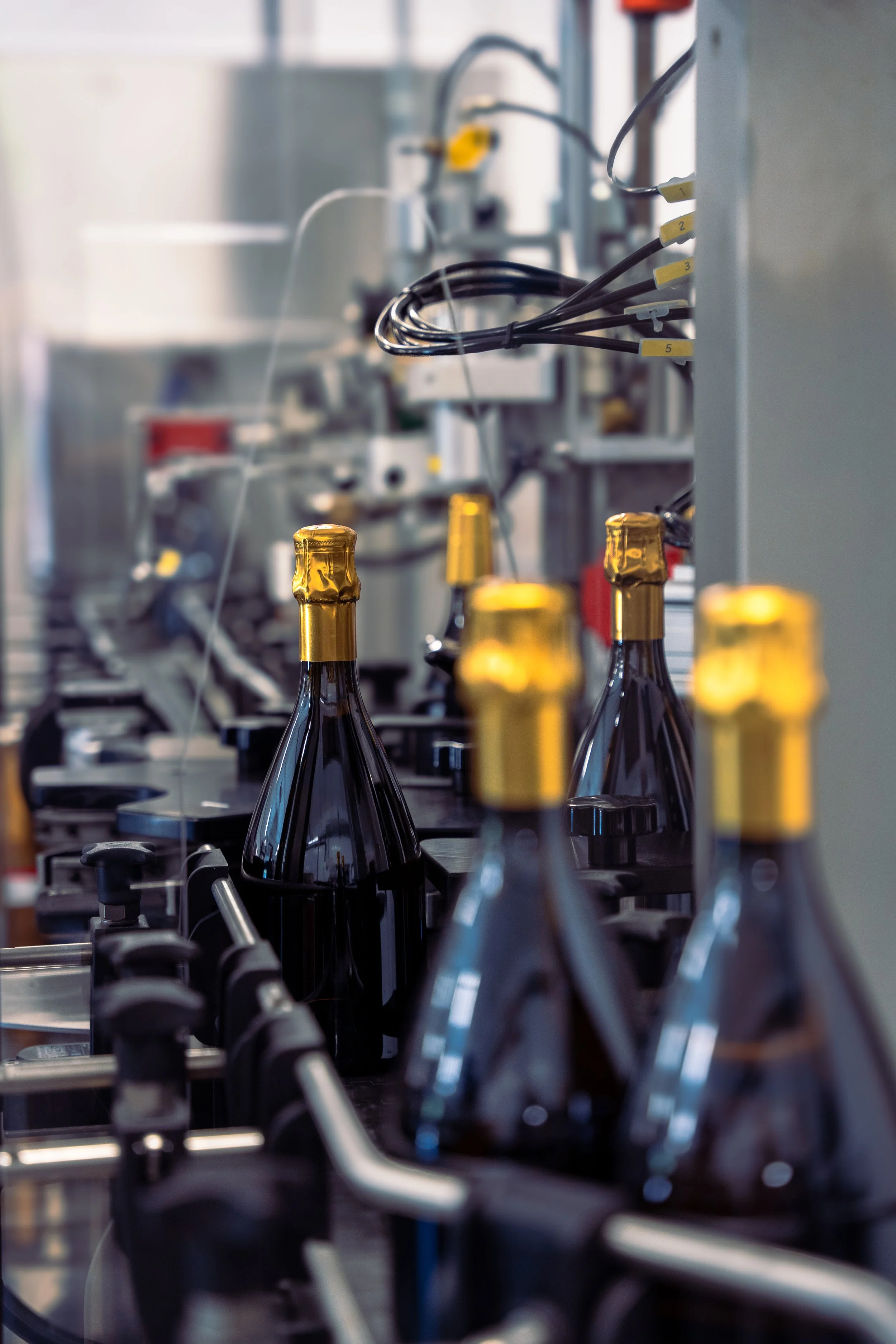 Cantina della Volta 2024-4.jpg