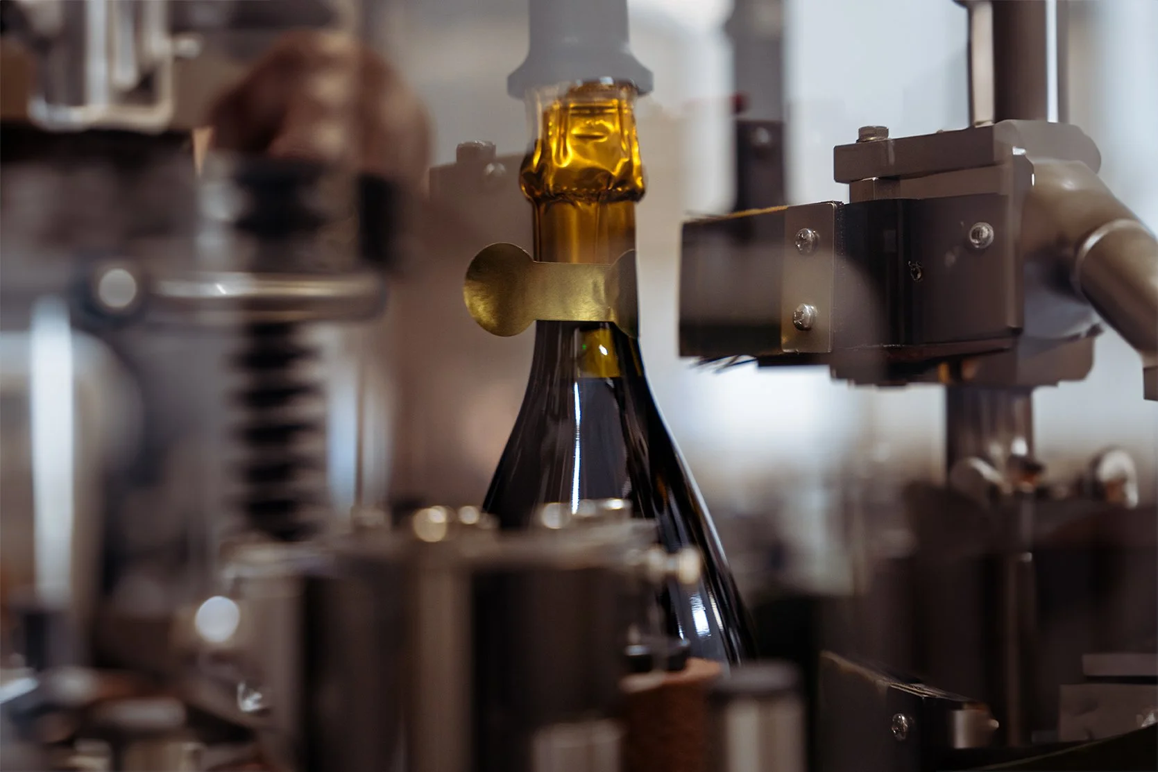 Cantina della Volta 2024-5 copy.jpg