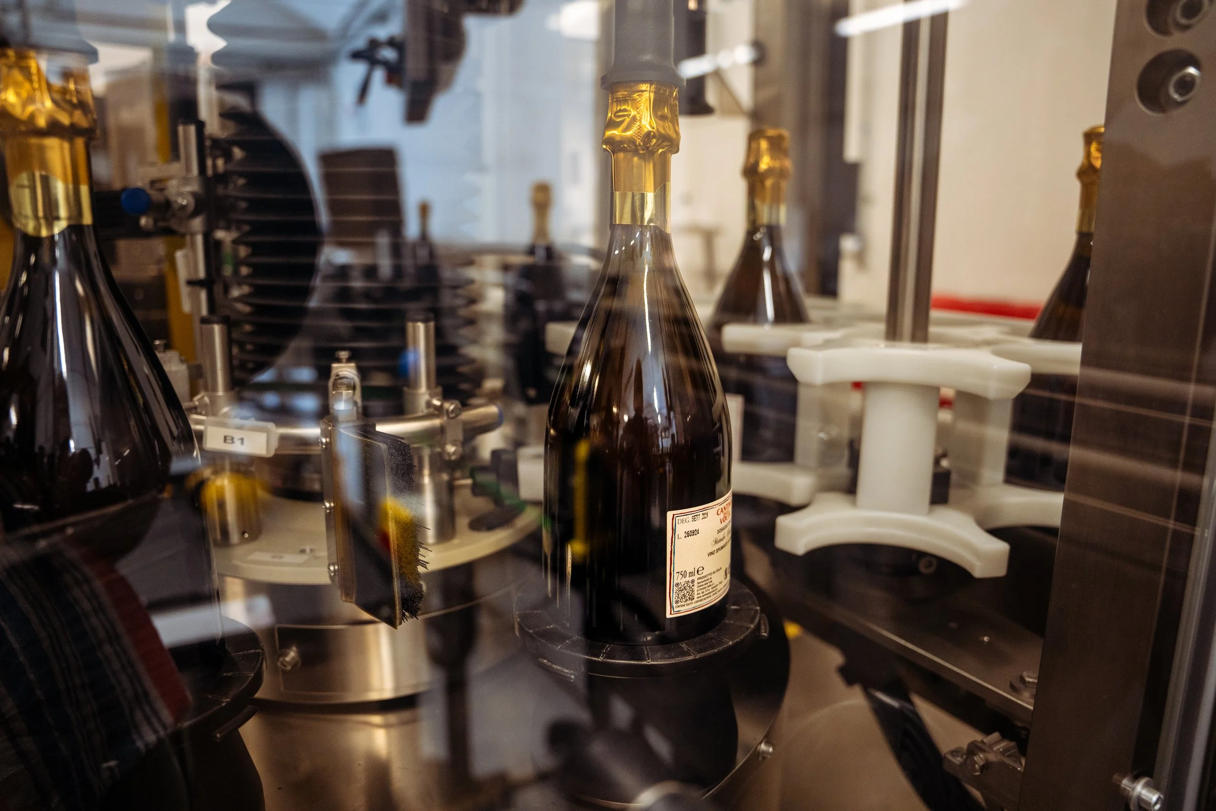 Cantina della Volta 2024-24.jpg