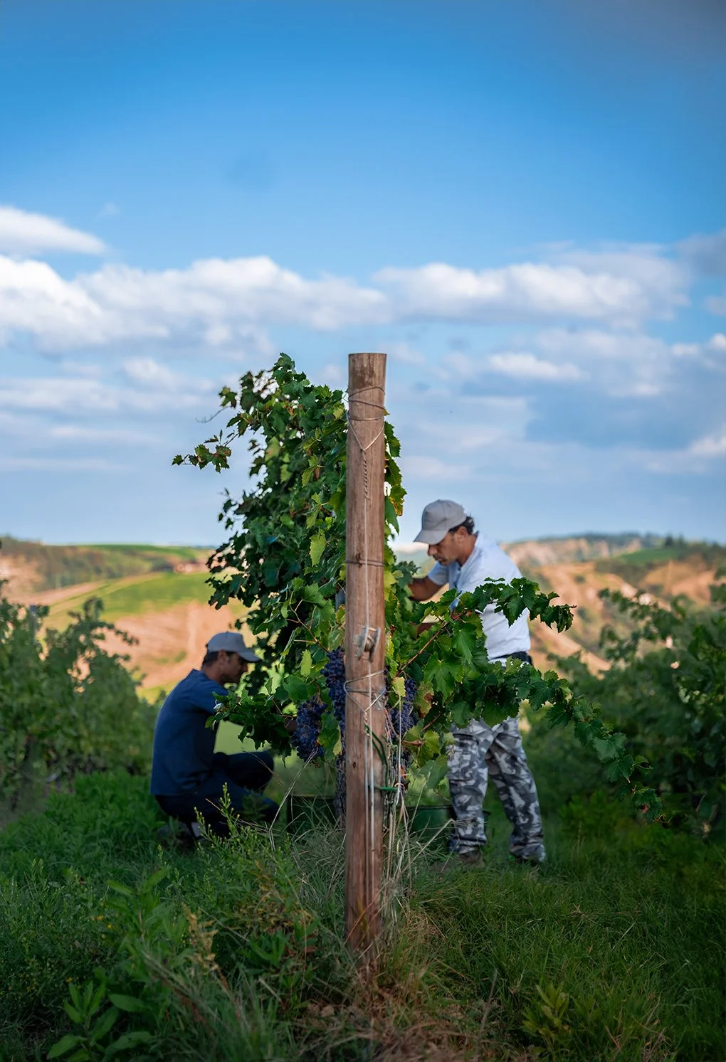 Ca' di Sopra 2024-14.jpg