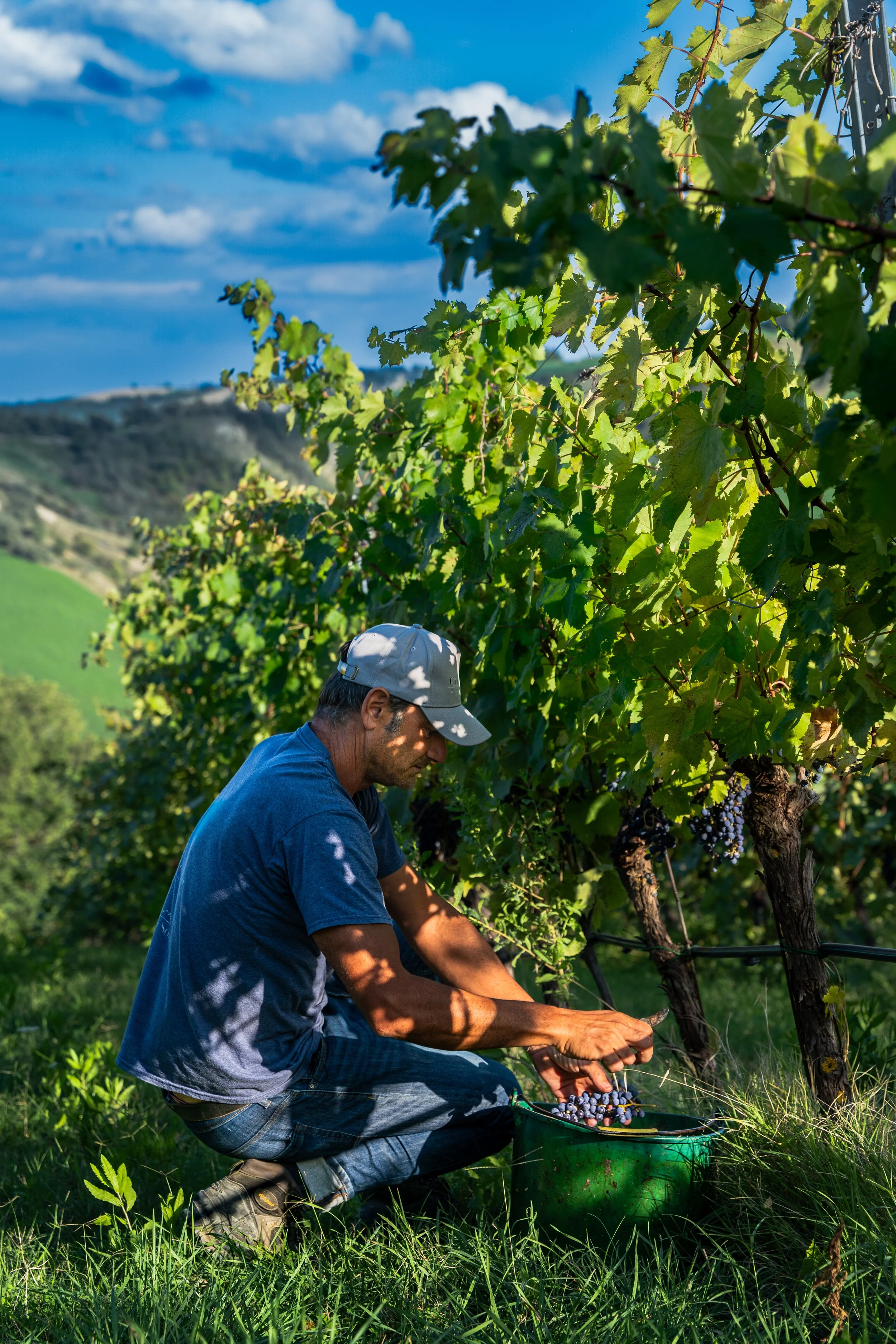 Ca' di Sopra 2024-15.jpg