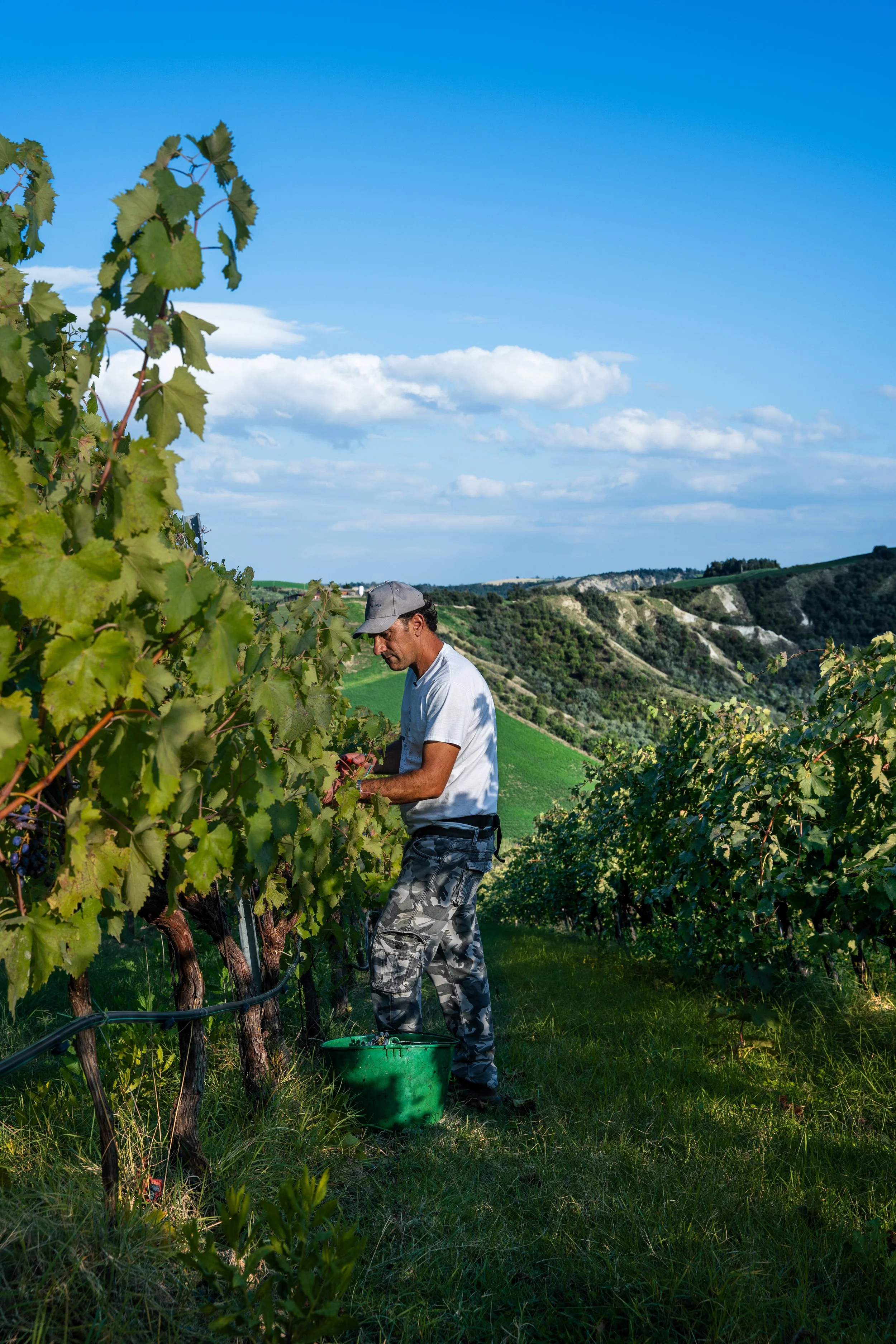 Ca' di Sopra 2024-16.jpg