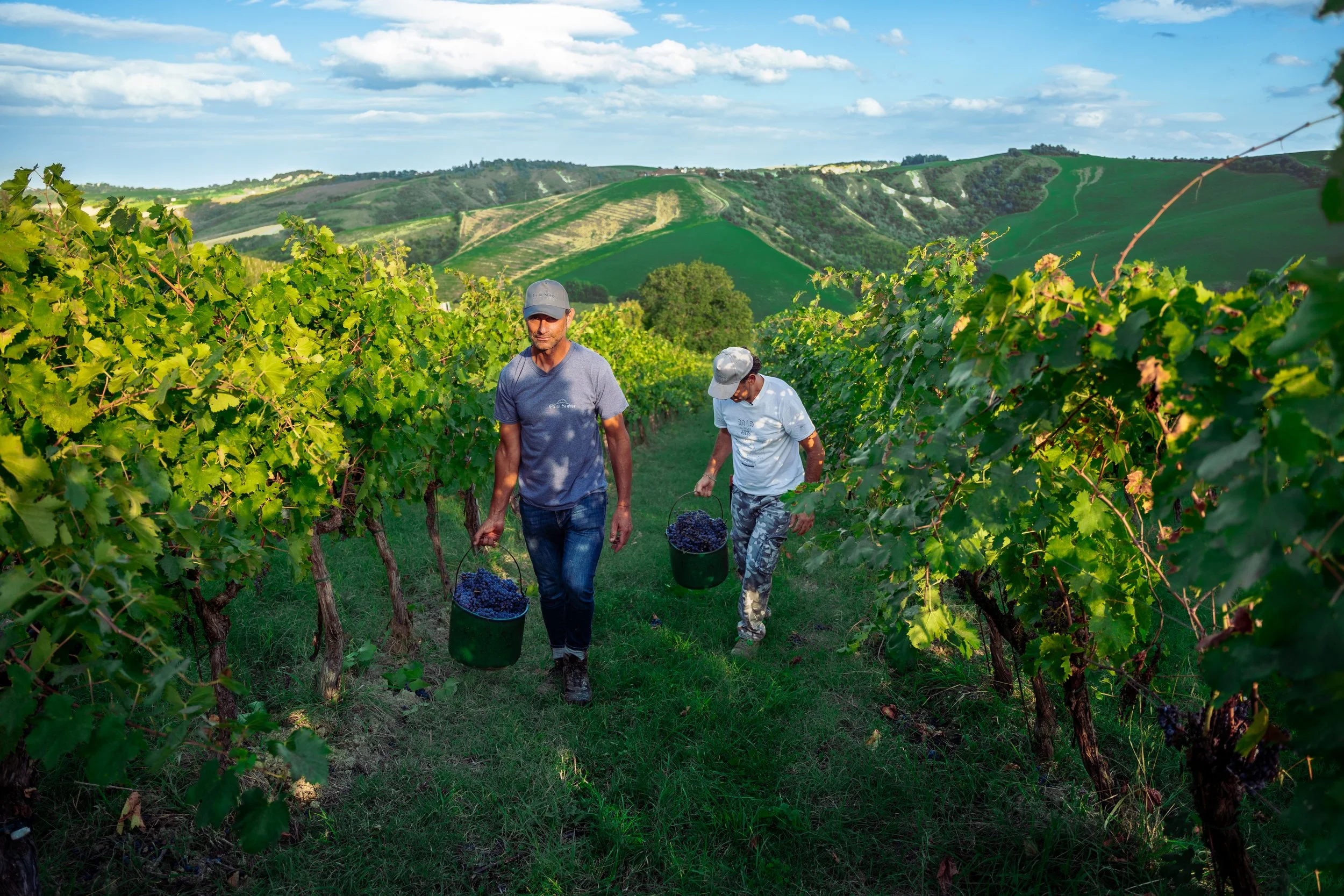 Ca' di Sopra 2024-20.jpg