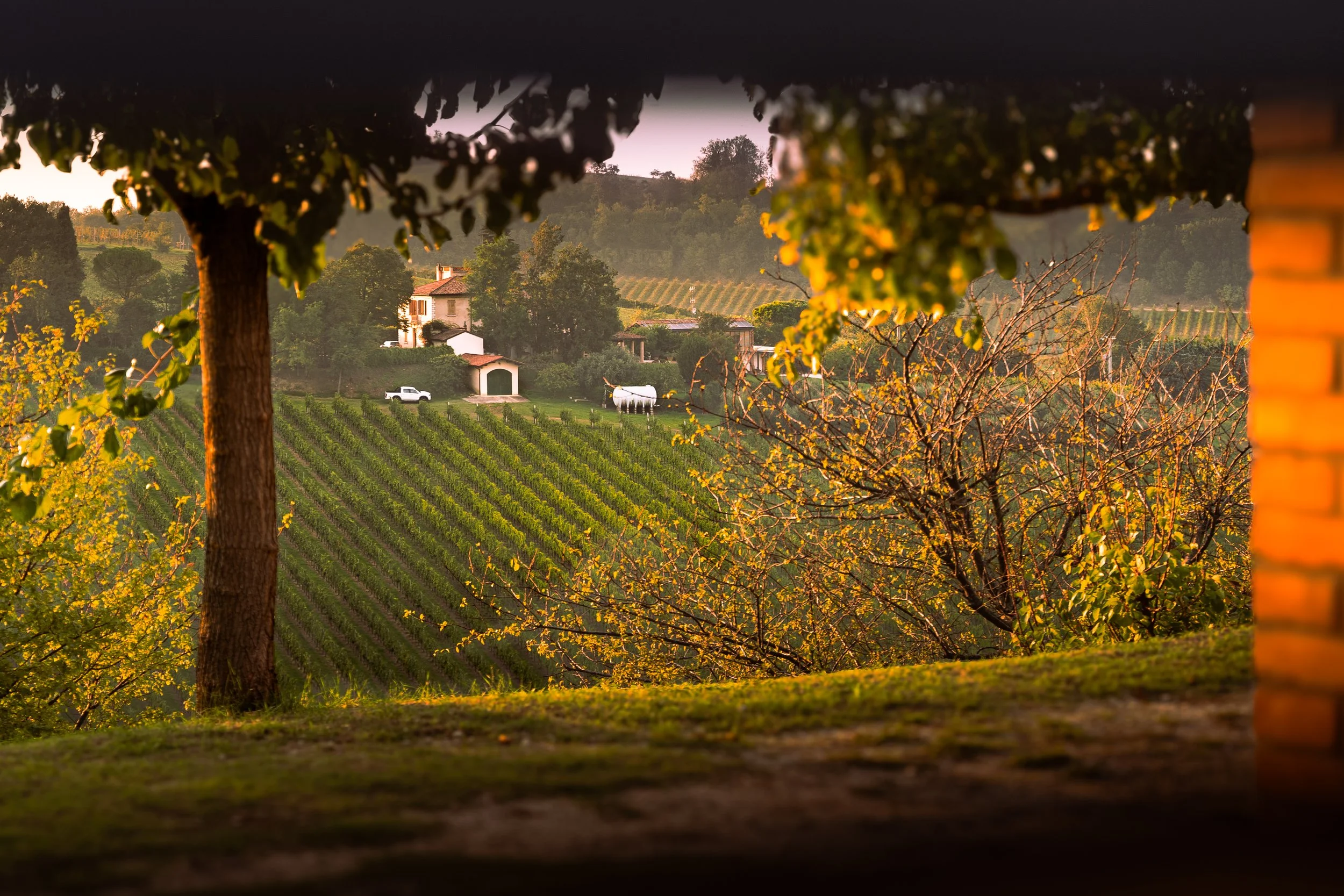 La Pasqualina 2024-10.jpg