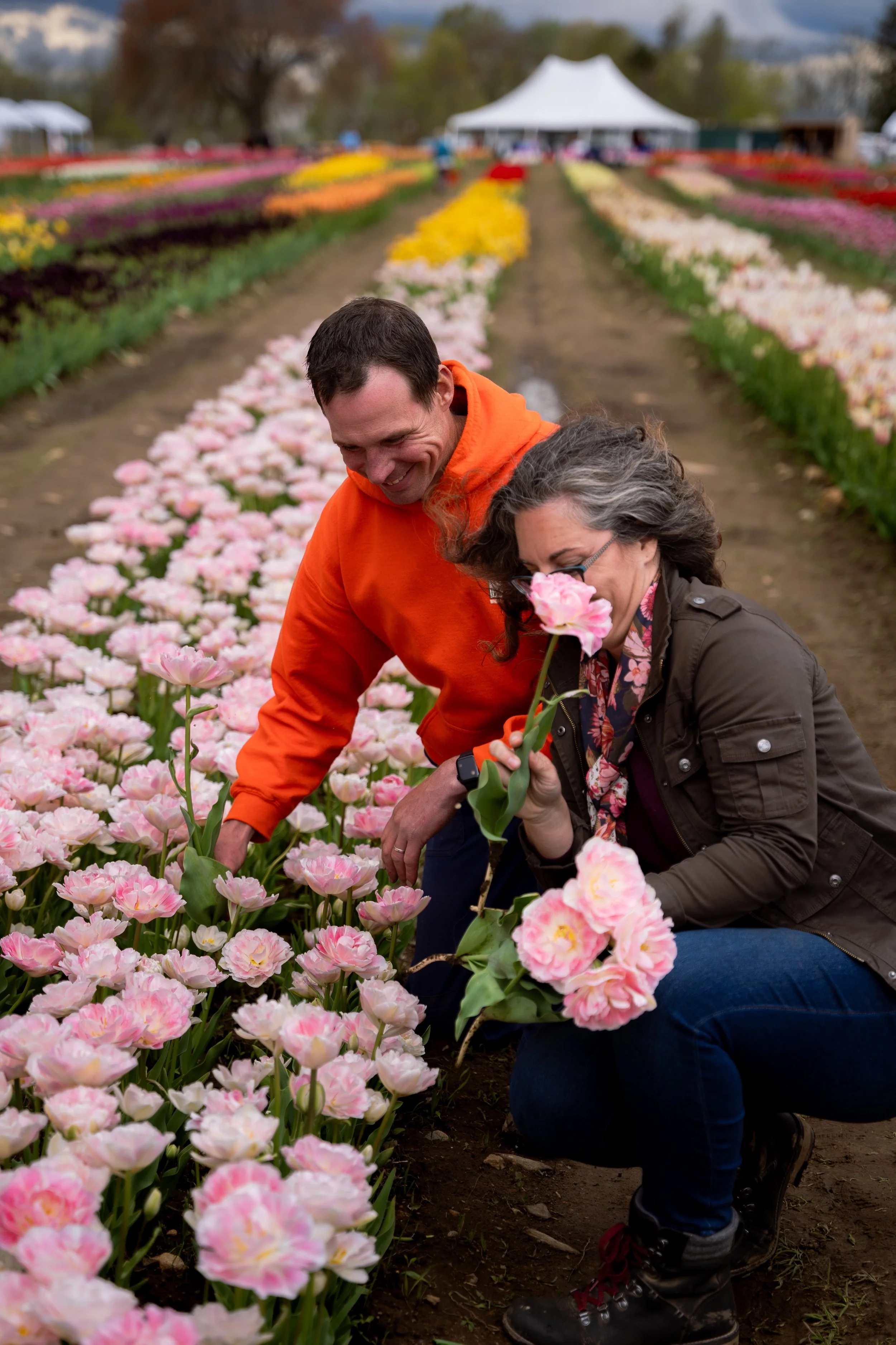 Wicked Tulips-14.jpg