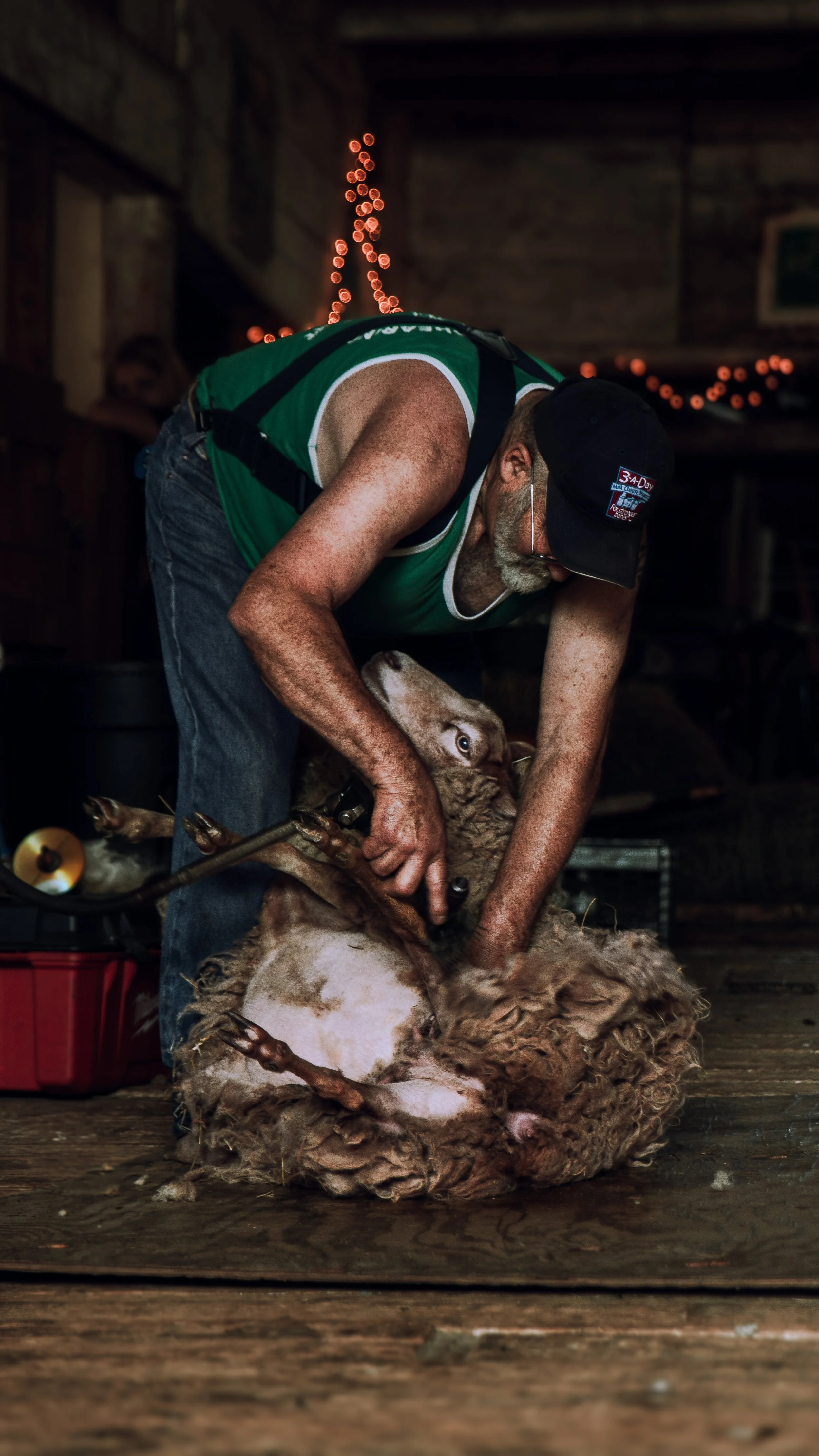 Soule Homestead Farm-21.jpg