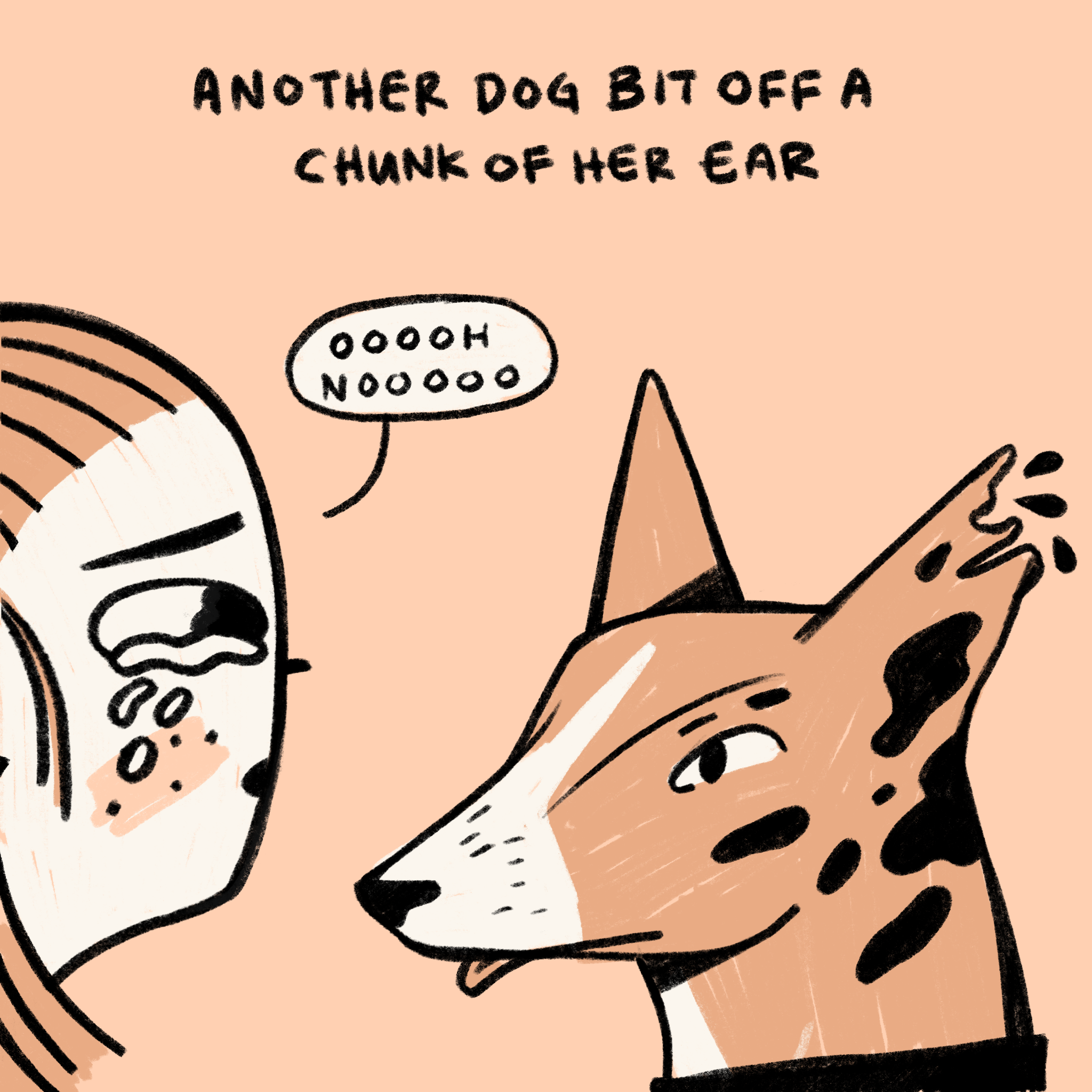 Untitled_Artwork 2.PNG