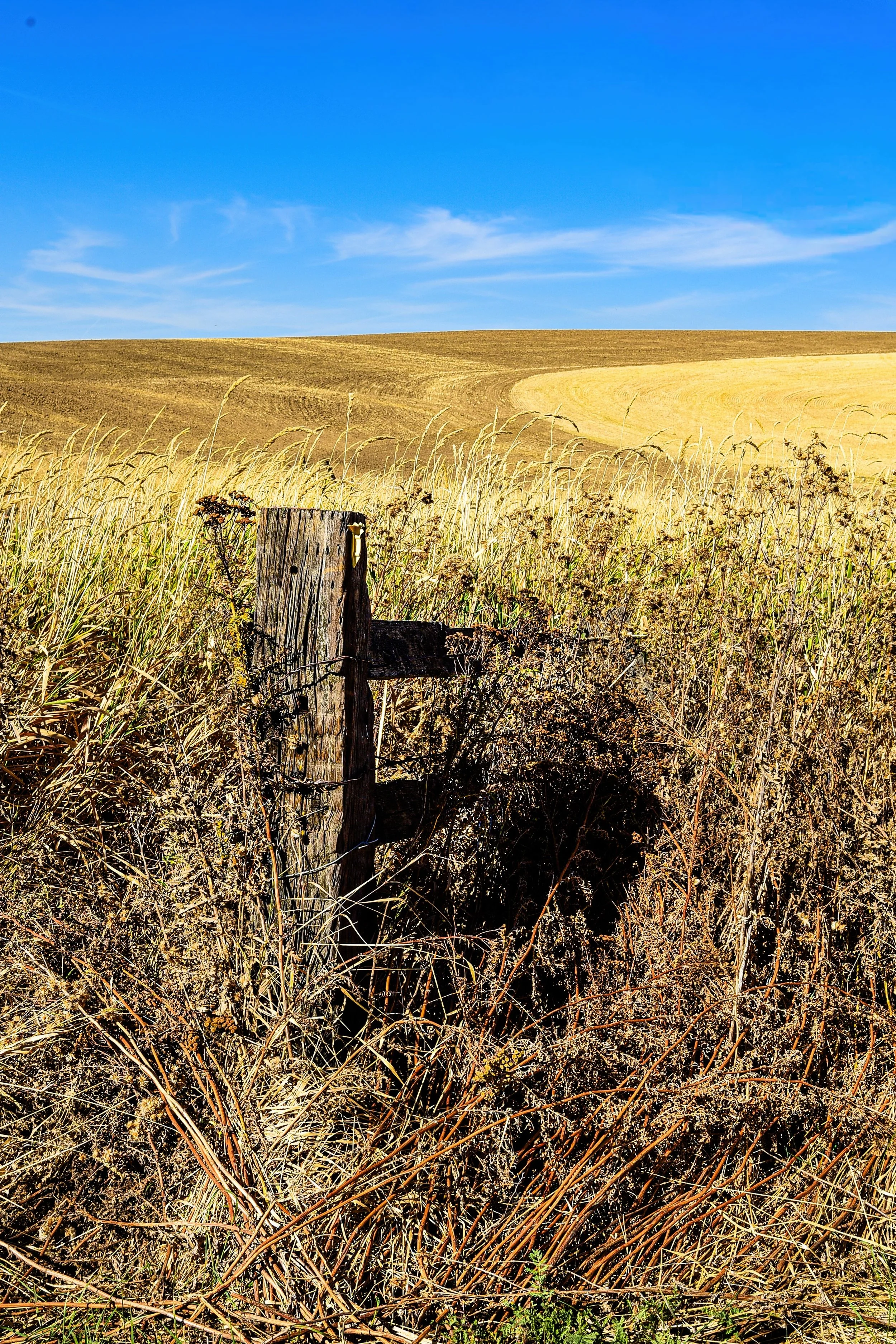 Palouse 11.jpeg