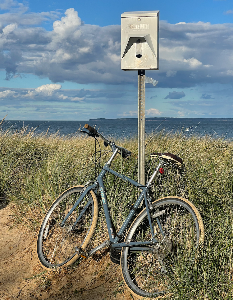 The Hampton's Travel Guide