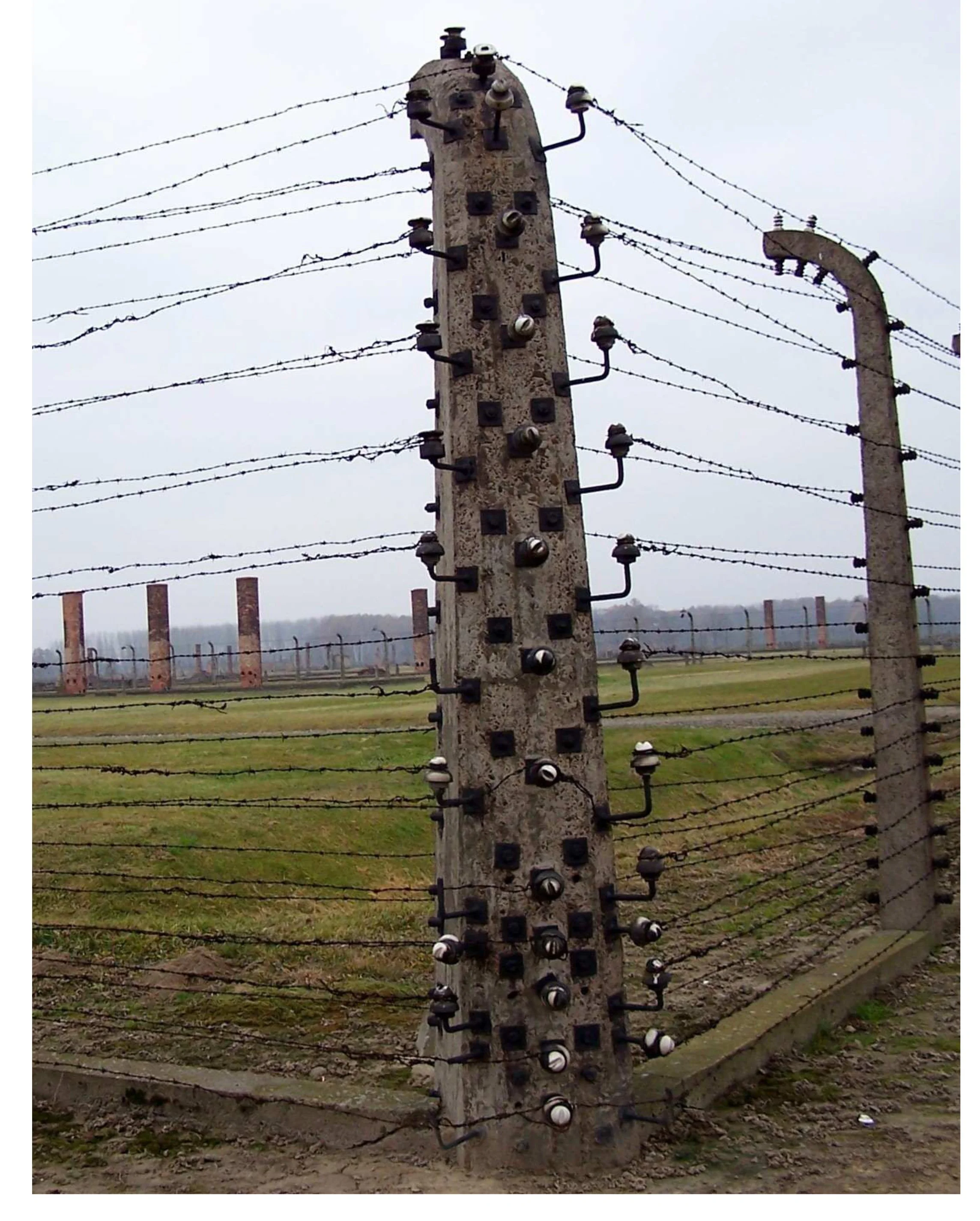 09_Fence Ferocity.jpg