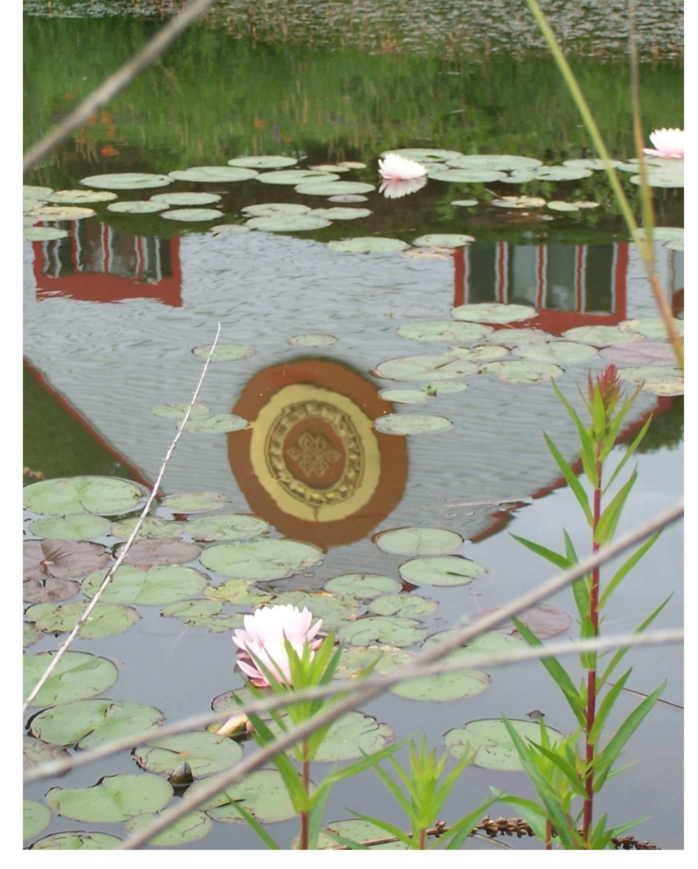 11_Pond at Karma Choliing.jpg