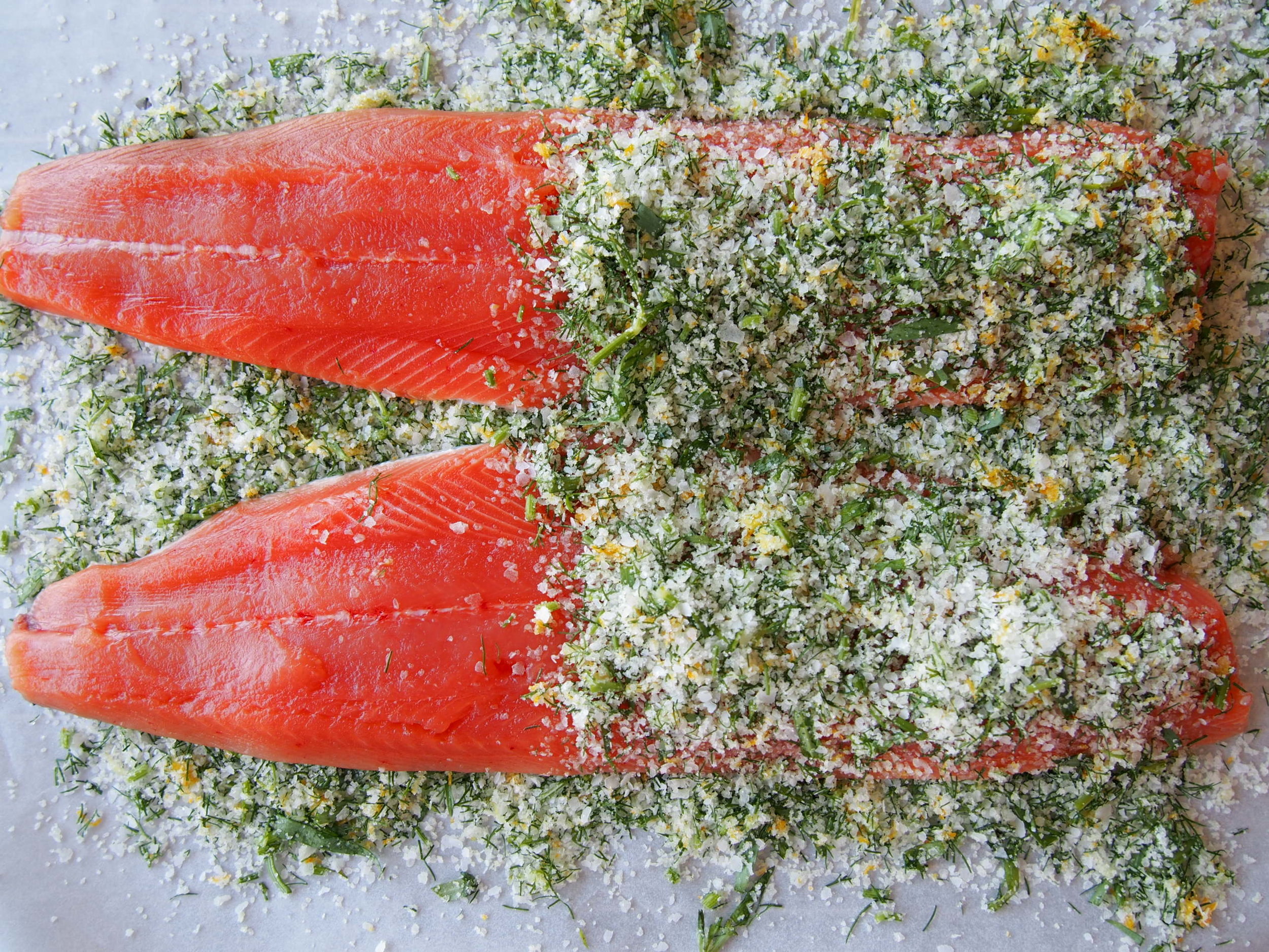 Curing Salmon.JPG