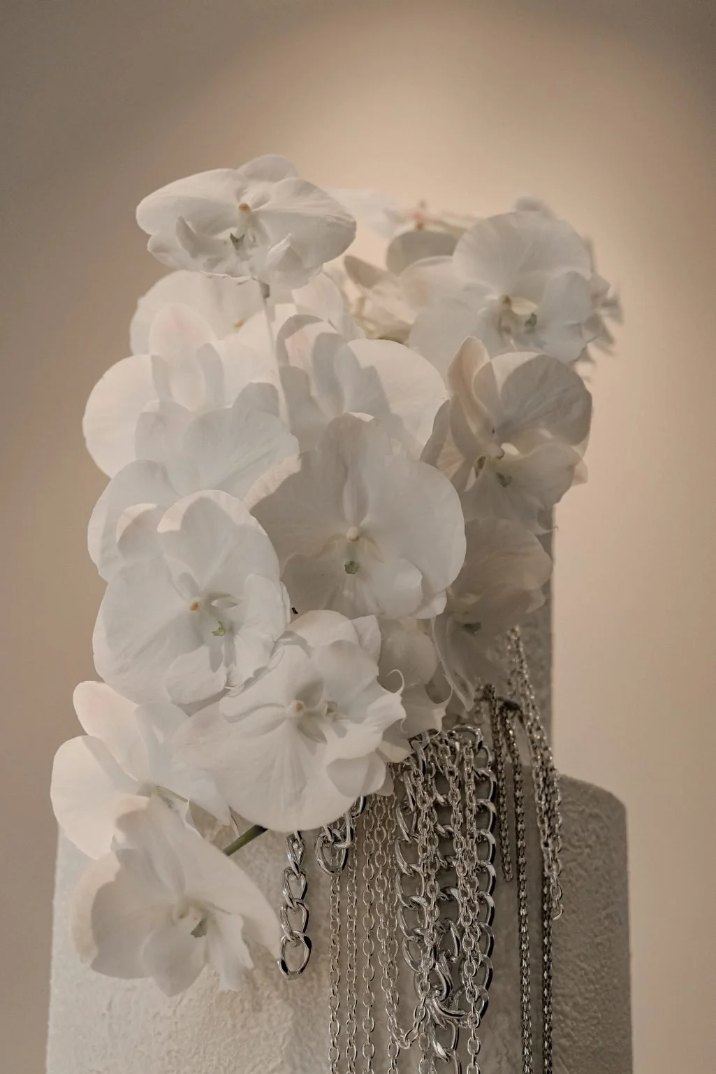 Style-Co-74-1025x1536.jpg