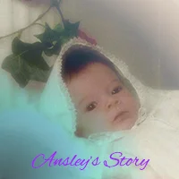 ansleys-story-2.jpg
