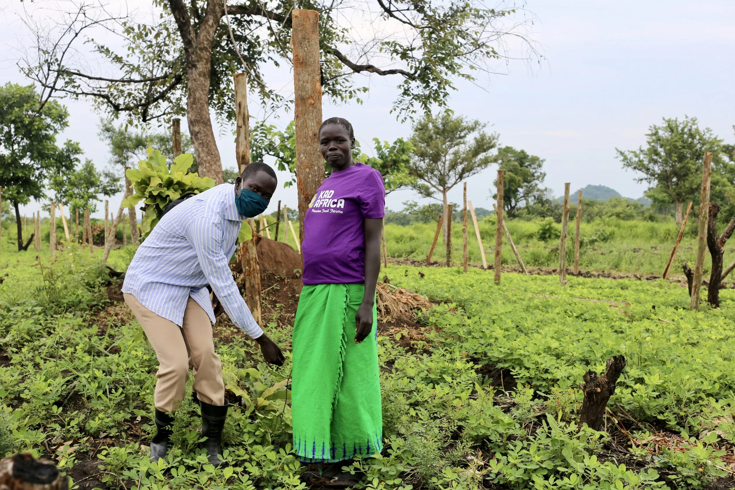 COVID picture farm.jpeg