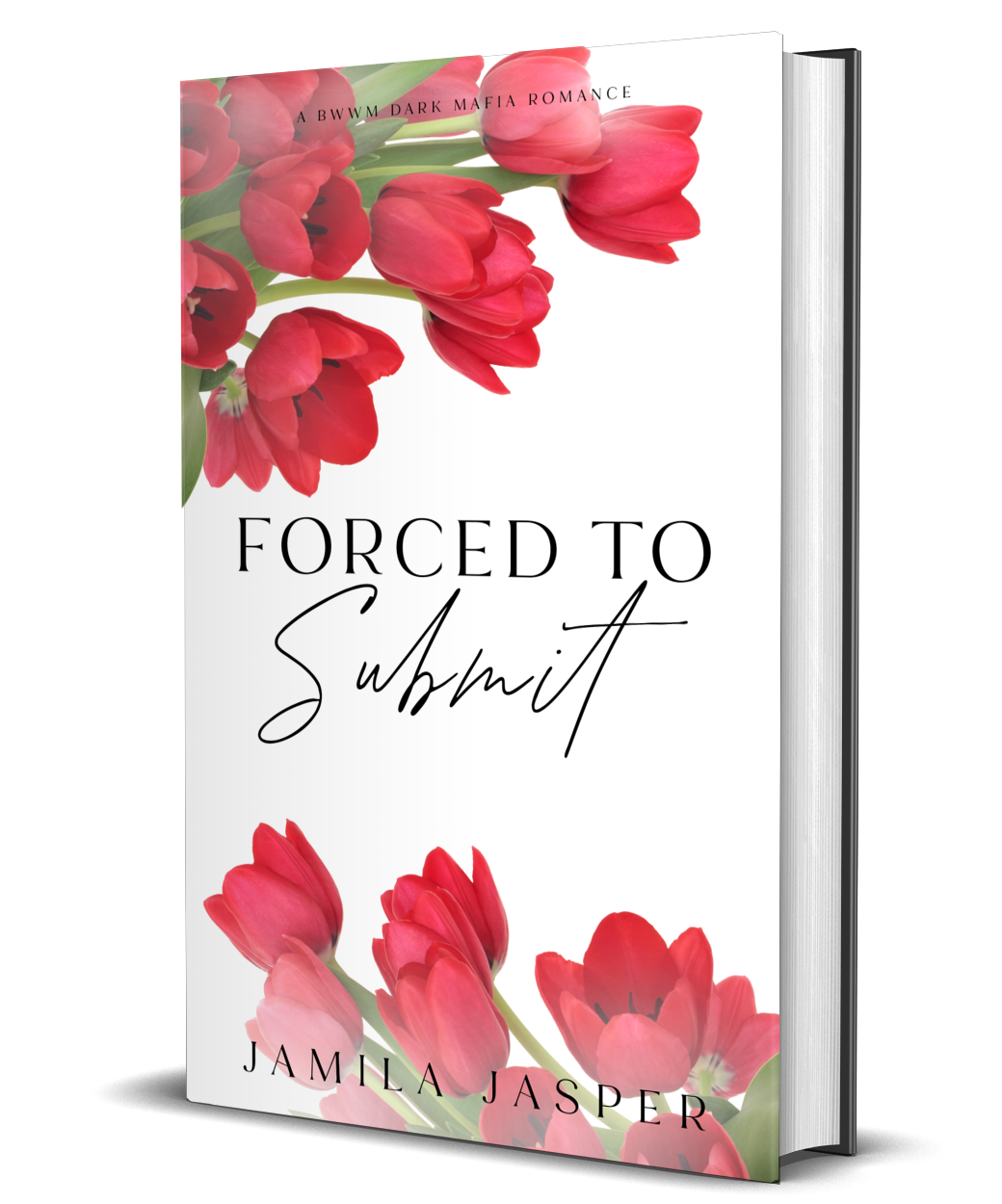BookBrushImage3D-Hardcover-Three-Fourths-vxfjtkcsg.png