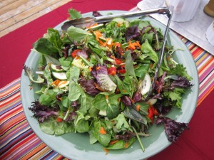 Meals-Green-Salad-300x225.jpg