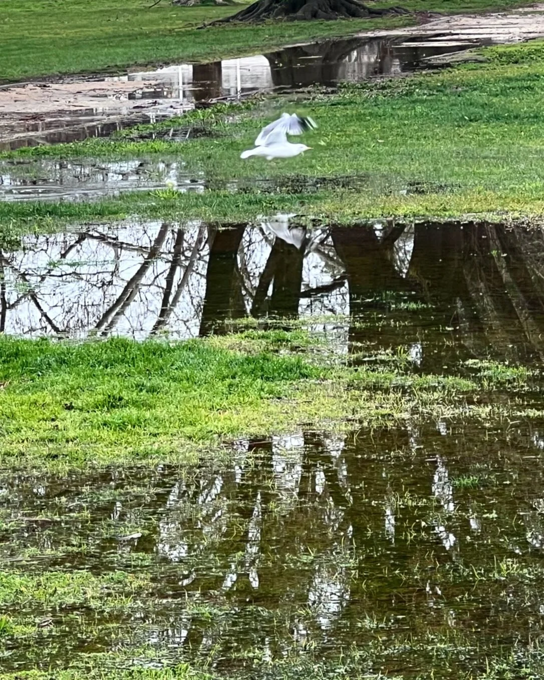 Everyday on my way!

#FirstPosts