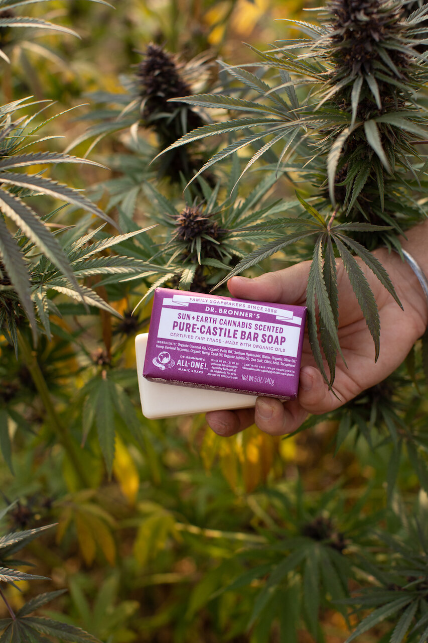 Dr. Bronner's Releases Special Cannabis-Scented Bar Soap to