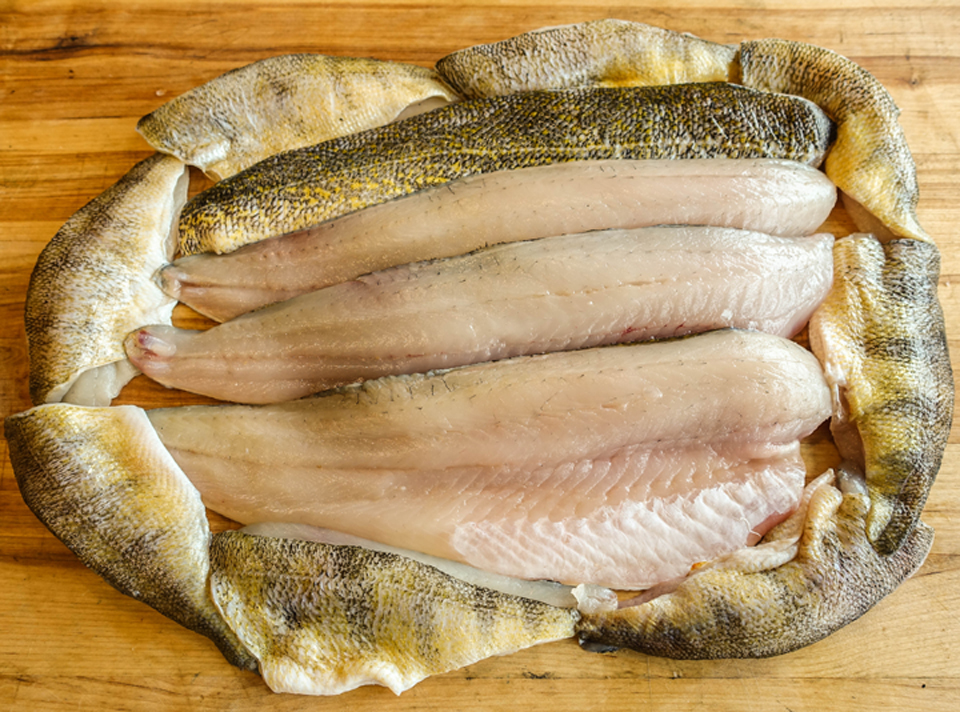 Walleye and Yellow Perch Fillets 3 inch.jpg