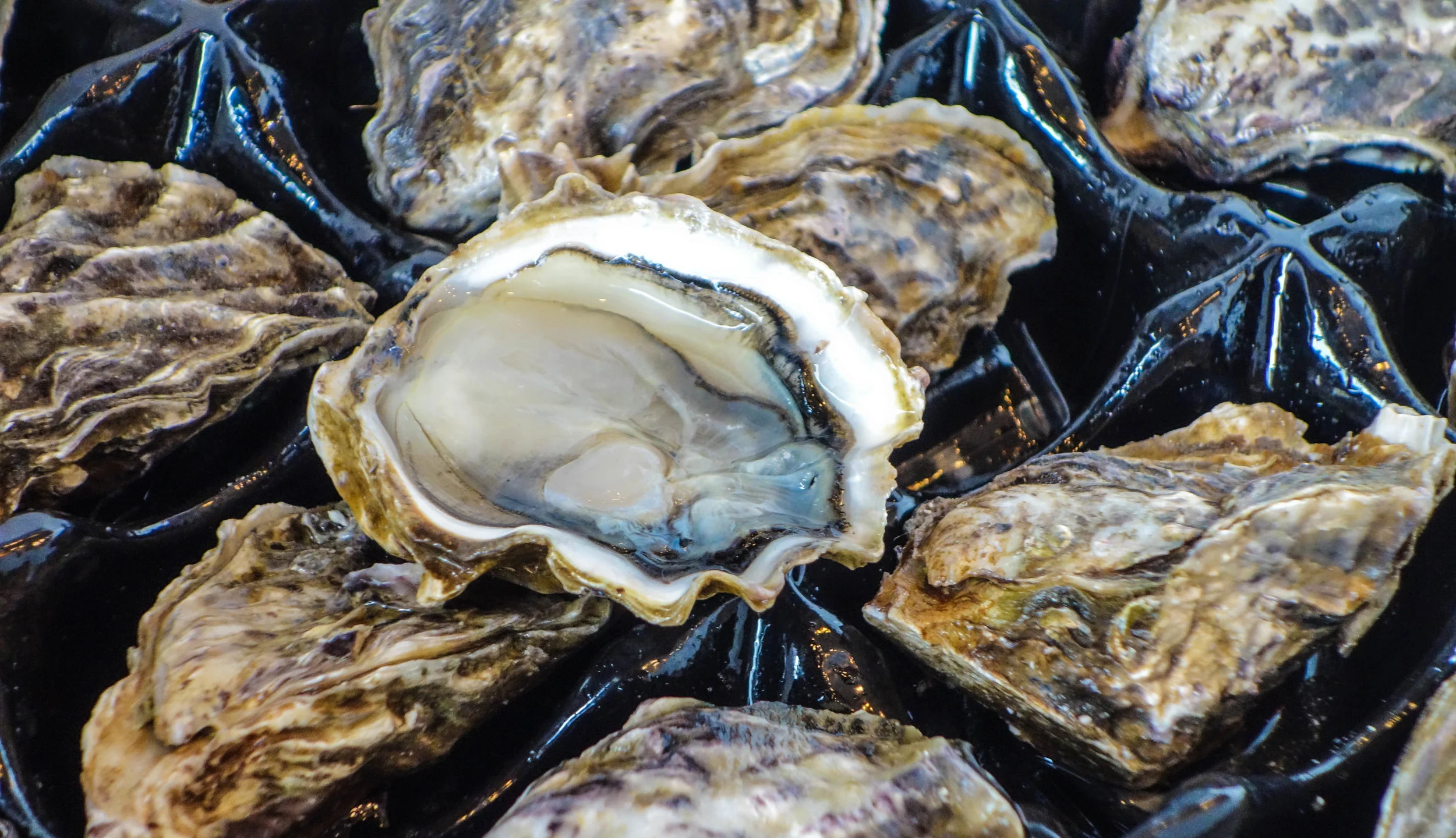 In Our Freezer — Dirk's Fish