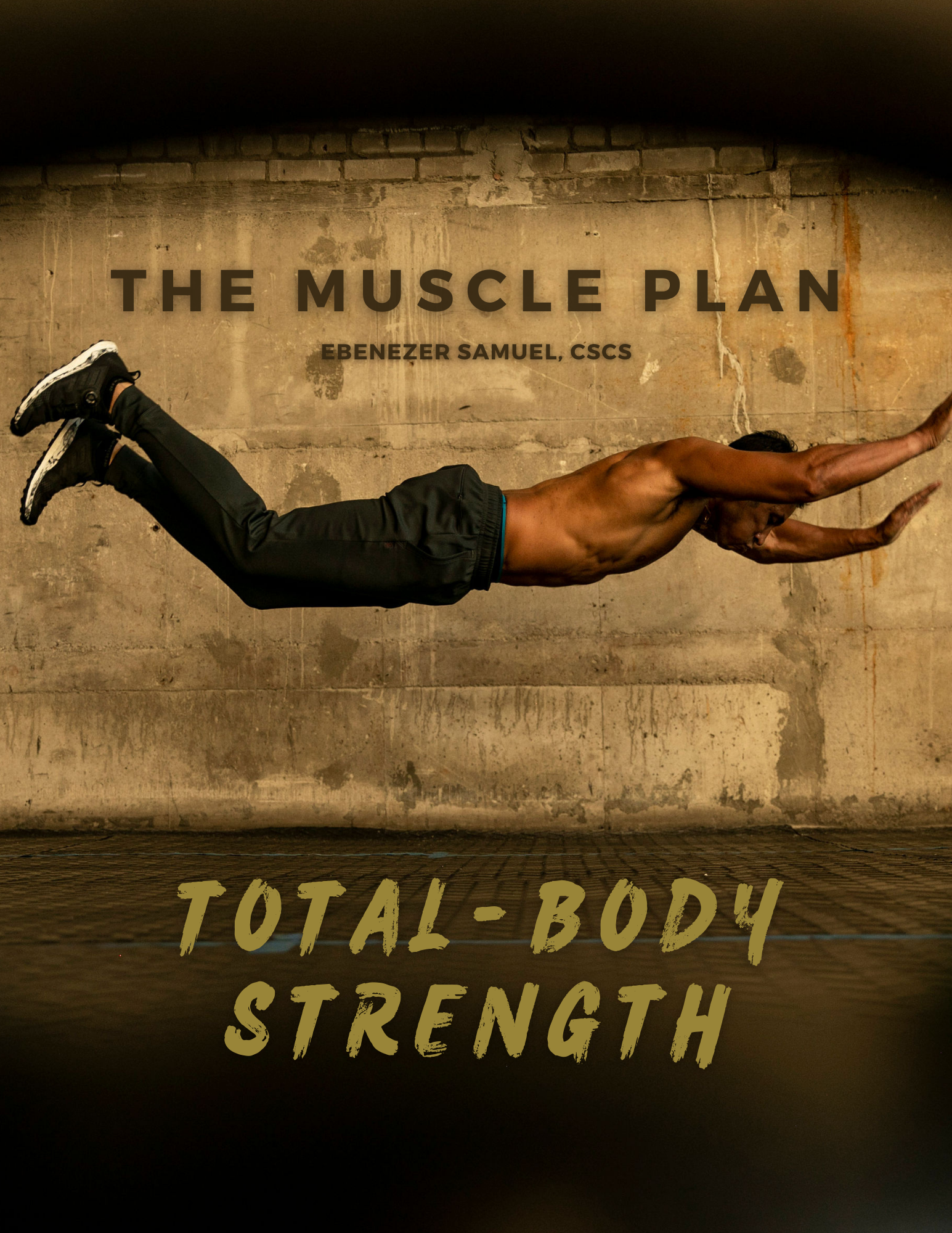 The Muscle Plan — Strength, Fitness & Muscle Building Workout Programs ...